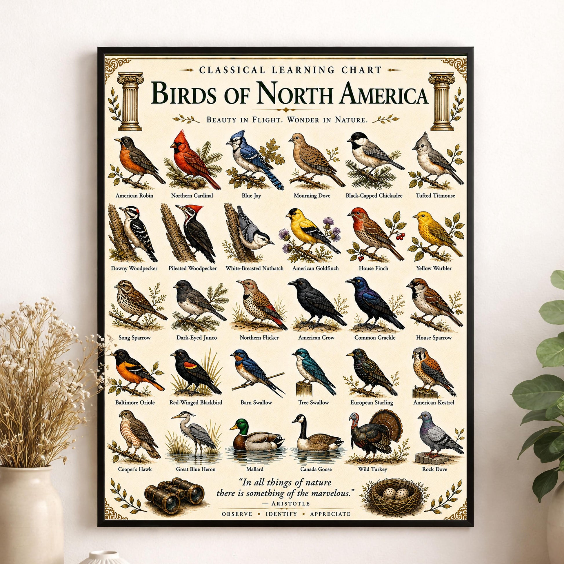 Birds of North America Chart Wall Art Print, Classical Learning Poster, Teacher Classroom Reference, Homeschool, Science Birdwatching Decor