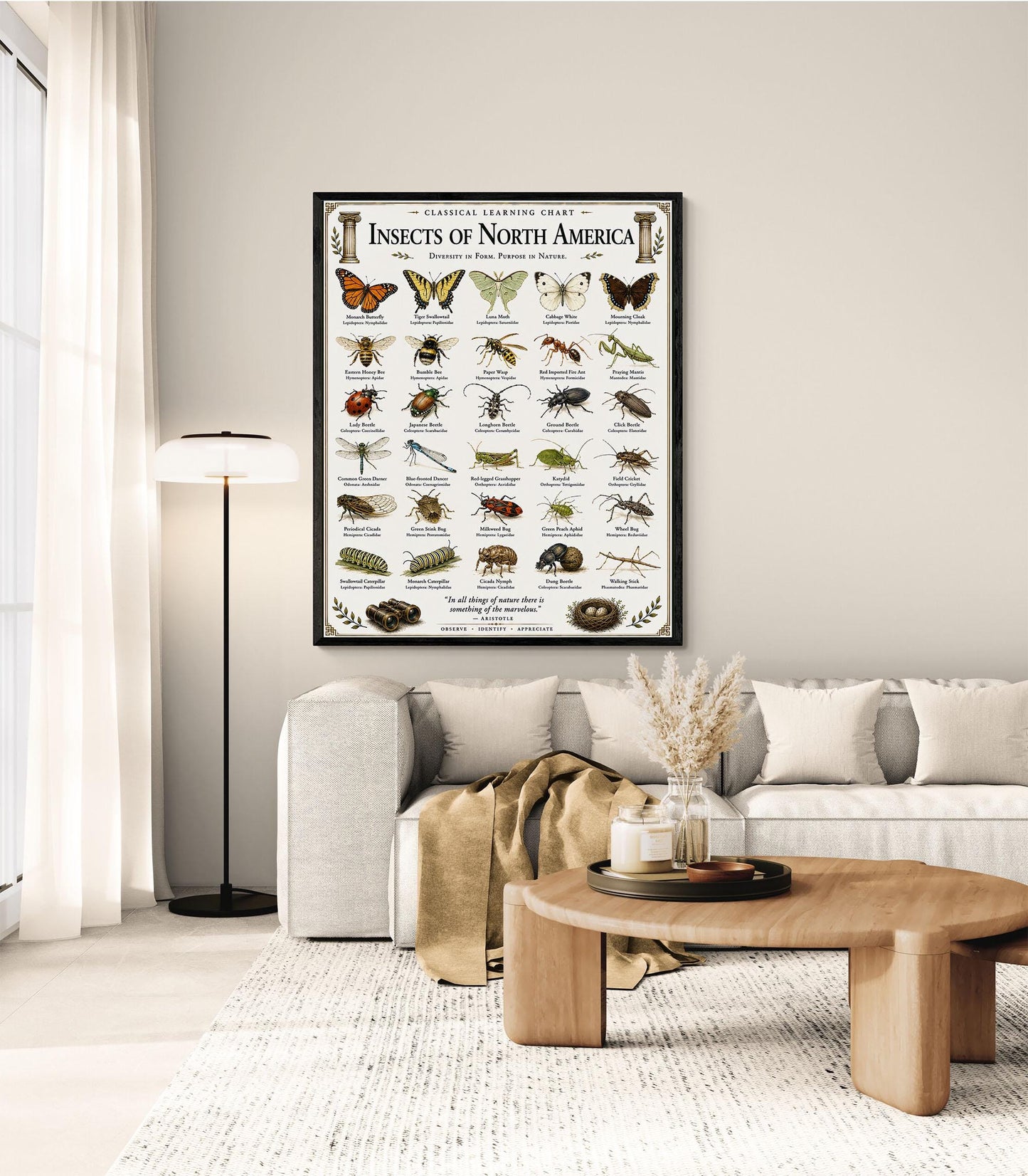 Insects of North America Chart Wall Art Print, Classical Learning Poster, Teacher Classroom Reference, Homeschool, Science Room Decor
