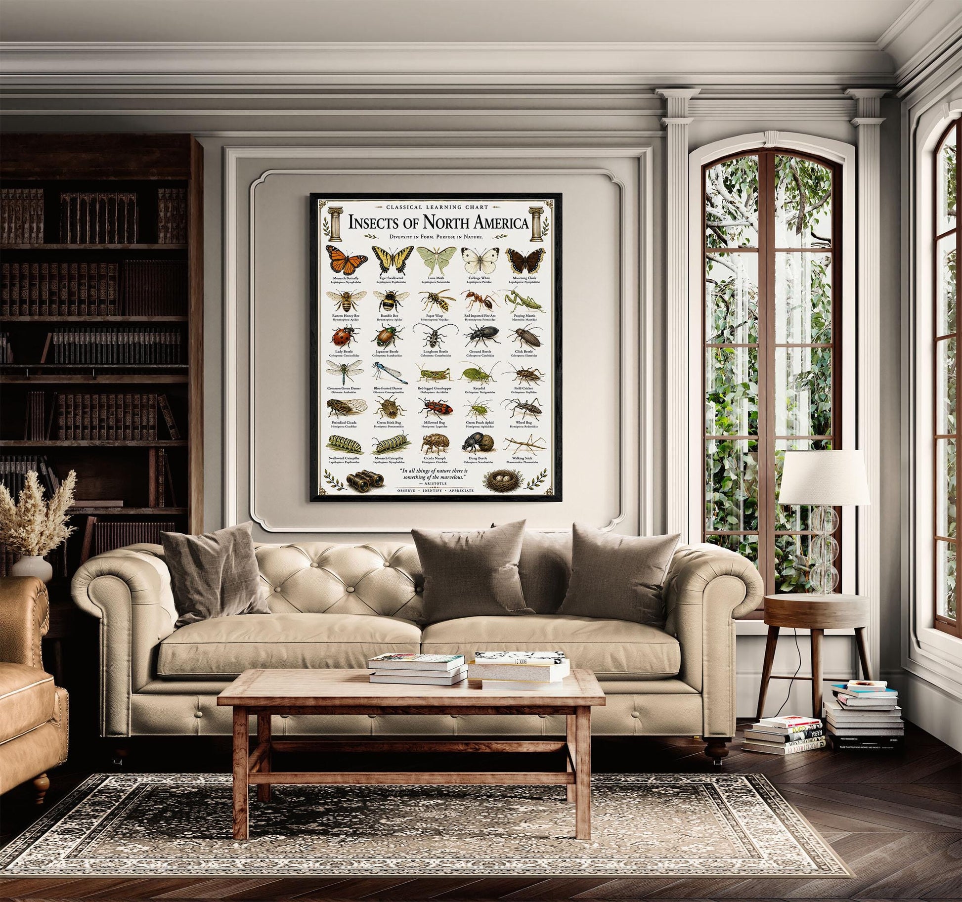 Insects of North America Chart Wall Art Print, Classical Learning Poster, Teacher Classroom Reference, Homeschool, Science Room Decor