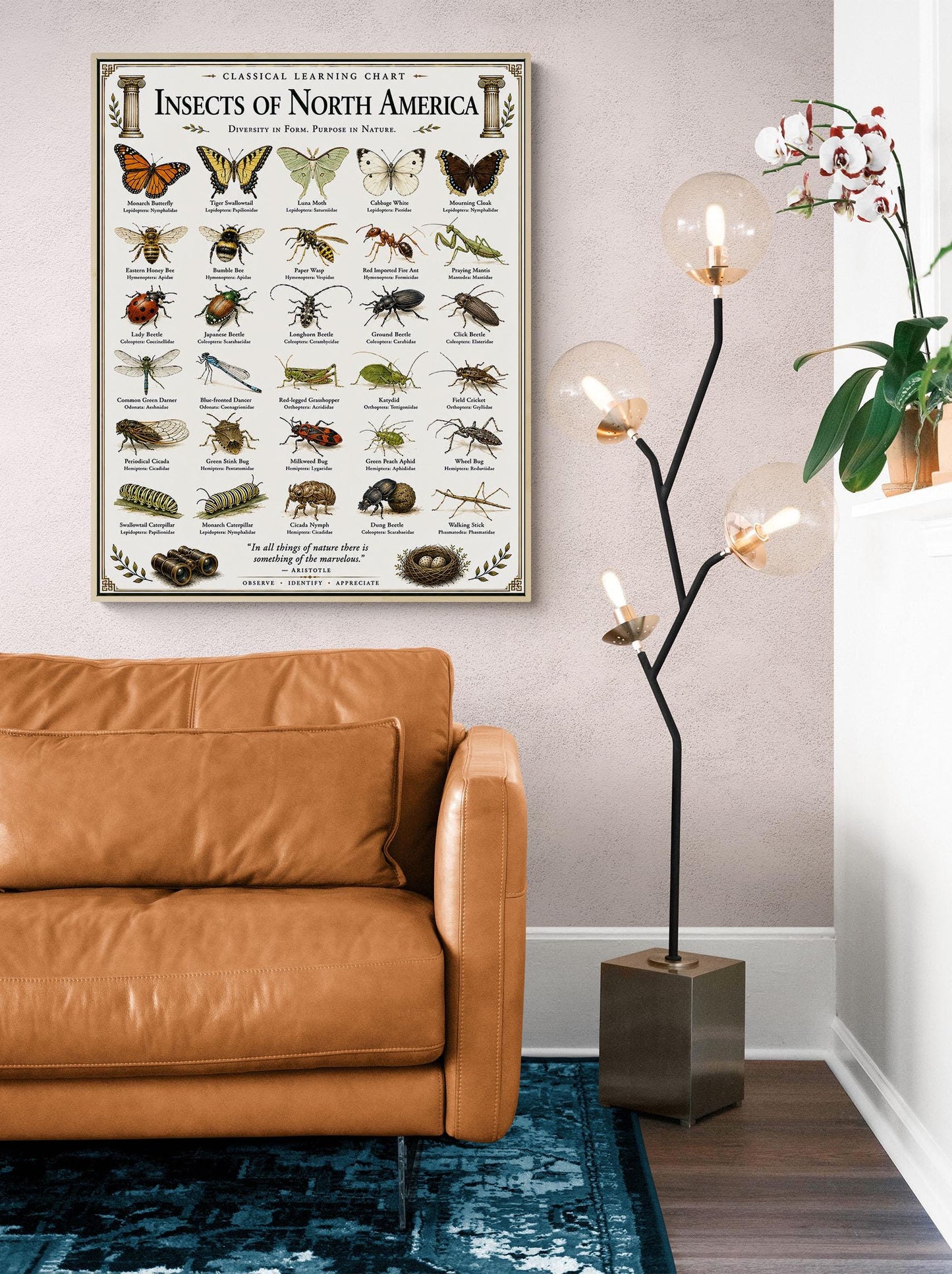 Insects of North America Chart Wall Art Print, Classical Learning Poster, Teacher Classroom Reference, Homeschool, Science Room Decor