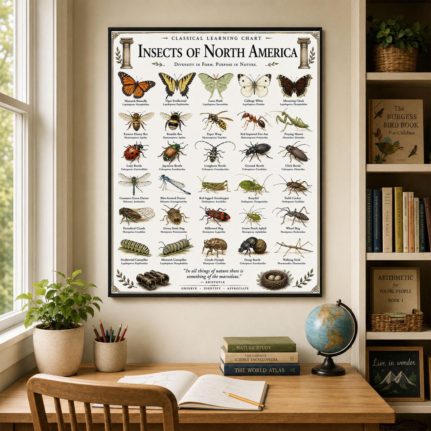 Insects of North America Chart Wall Art Print, Classical Learning Poster, Teacher Classroom Reference, Homeschool, Science Room Decor