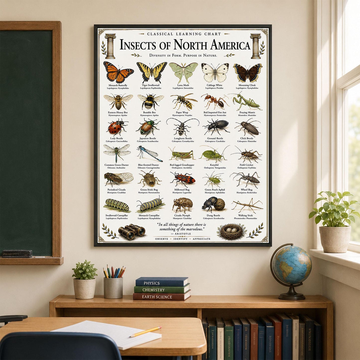 Insects of North America Chart Wall Art Print, Classical Learning Poster, Teacher Classroom Reference, Homeschool, Science Room Decor