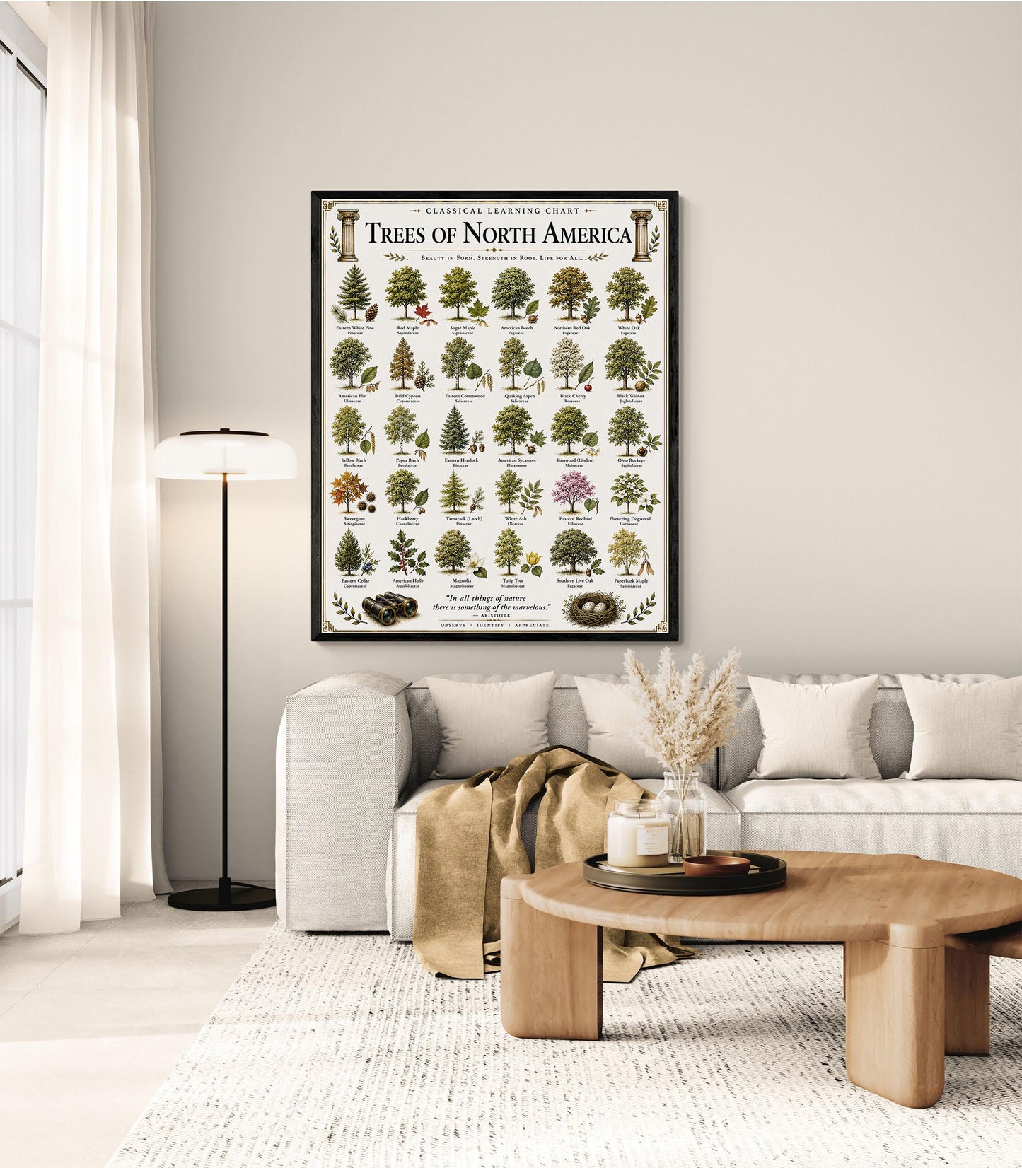 Trees of North America Chart Wall Art Print, Classical Learning Poster, Teacher Classroom Reference, Homeschool, Science Room Decor