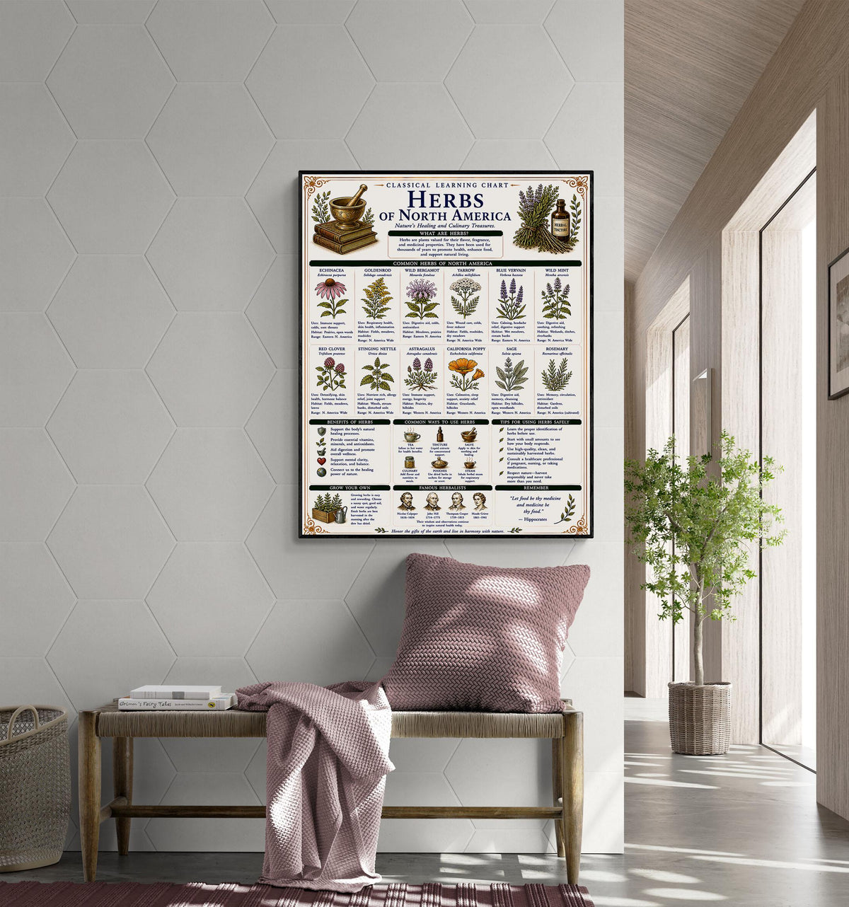 Herbs of North America Chart Wall Art Print, Classical Learning Poster, Teacher Classroom Reference, Homeschool, Botanical Nature Room Decor