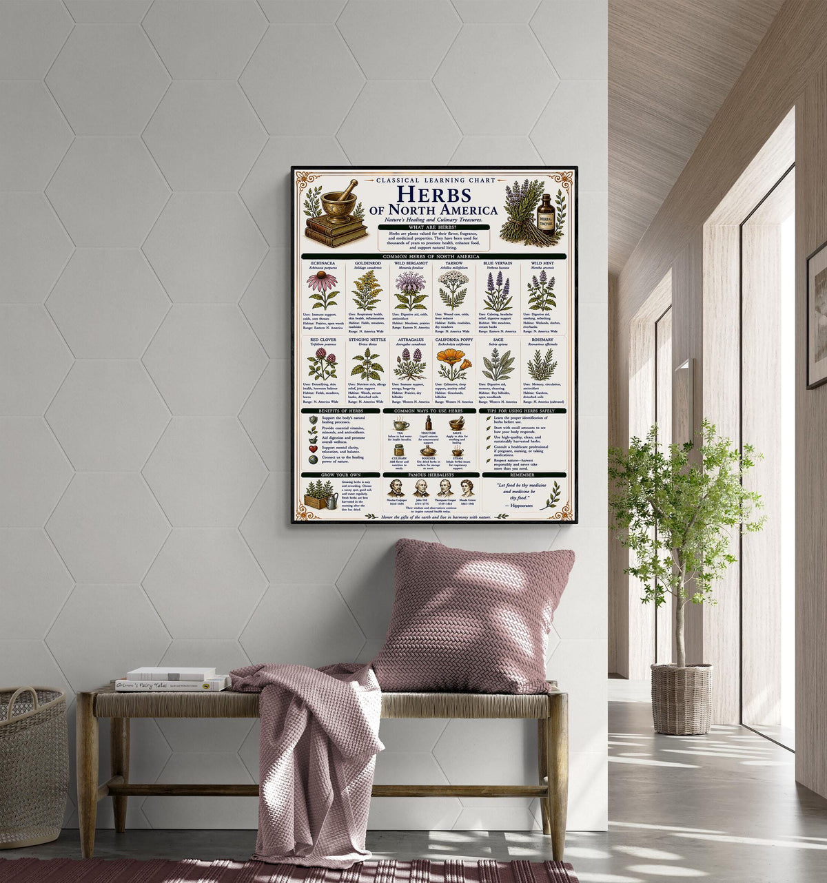 Herbs of North America Chart Wall Art Print, Classical Learning Poster, Teacher Classroom Reference, Homeschool, Botanical Nature Room Decor