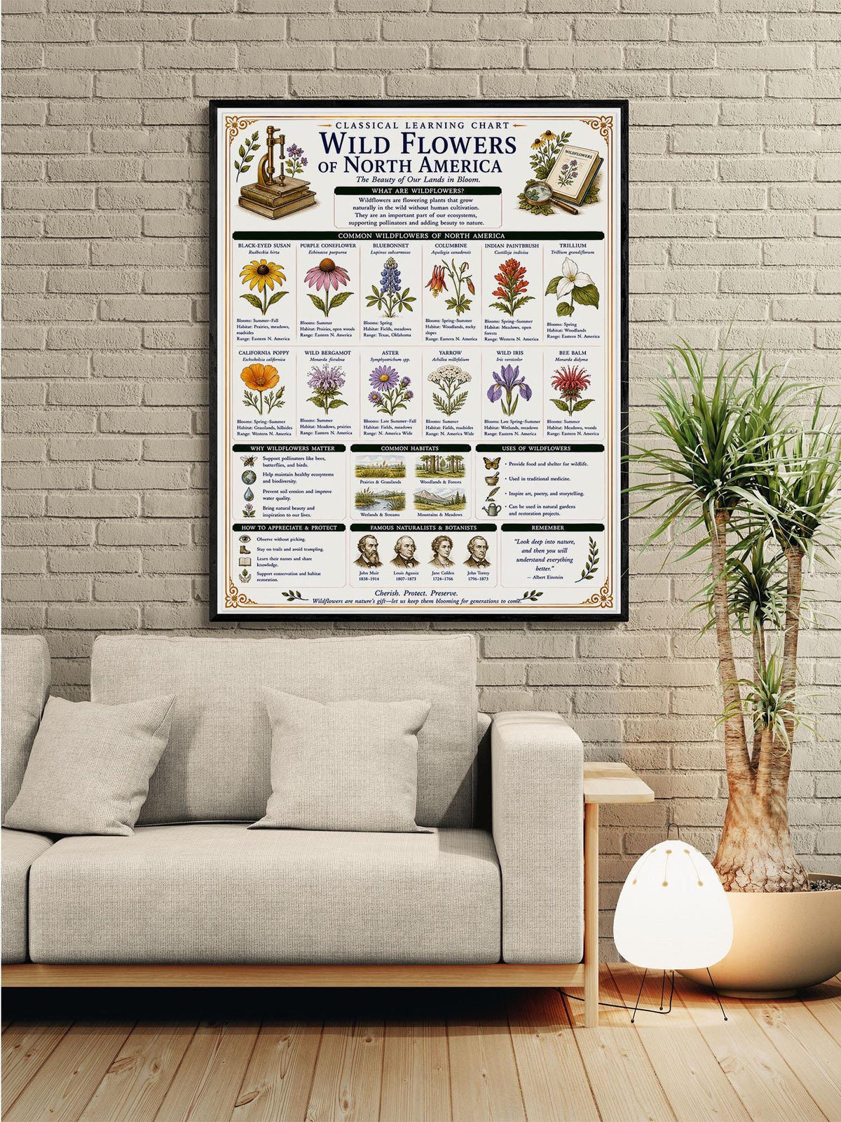 Wild Flowers of North America Chart Wall Art Print, Classical Learning Poster, Teacher Classroom Reference, Homeschool, Nature Room Decor