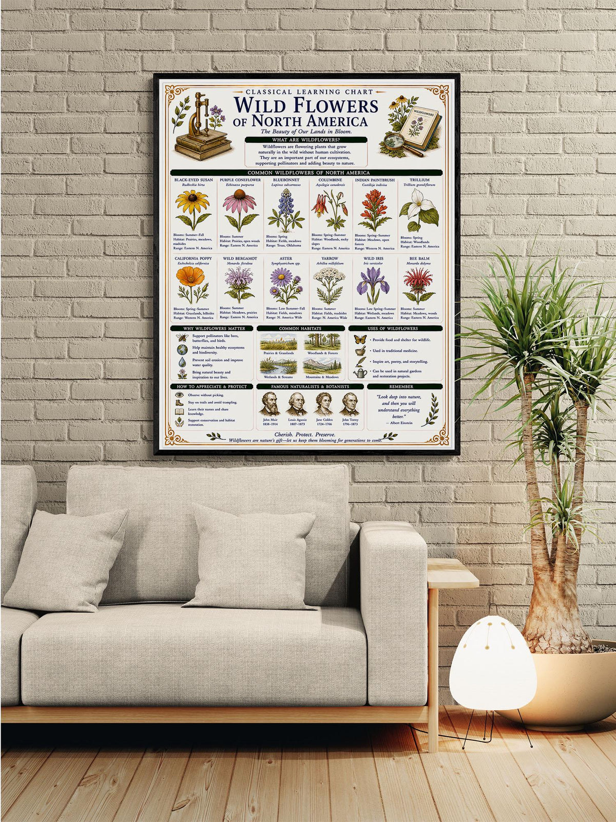 Wild Flowers of North America Chart Wall Art Print, Classical Learning Poster, Teacher Classroom Reference, Homeschool, Nature Room Decor