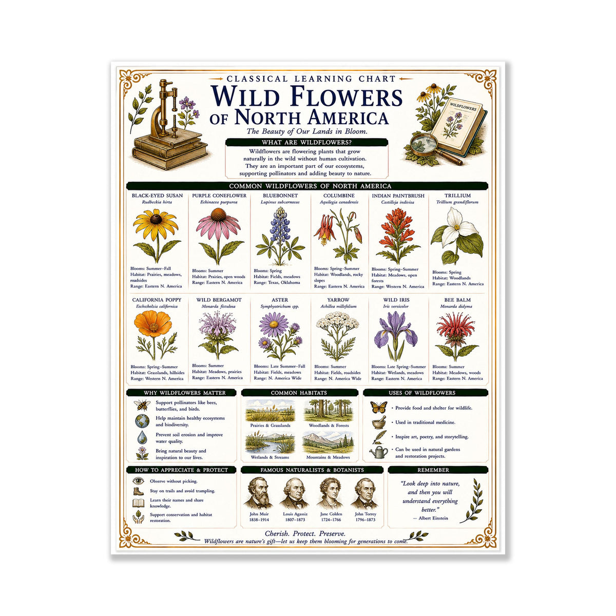 Wild Flowers of North America Chart Wall Art Print, Classical Learning Poster, Teacher Classroom Reference, Homeschool, Nature Room Decor