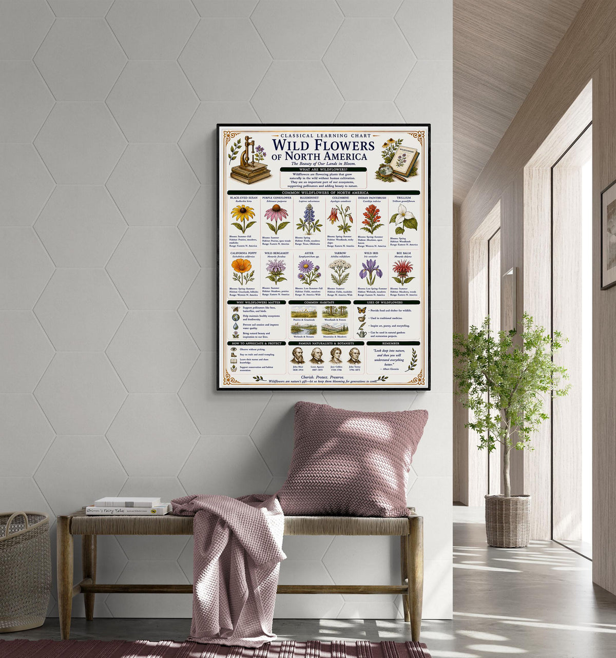 Wild Flowers of North America Chart Wall Art Print, Classical Learning Poster, Teacher Classroom Reference, Homeschool, Nature Room Decor