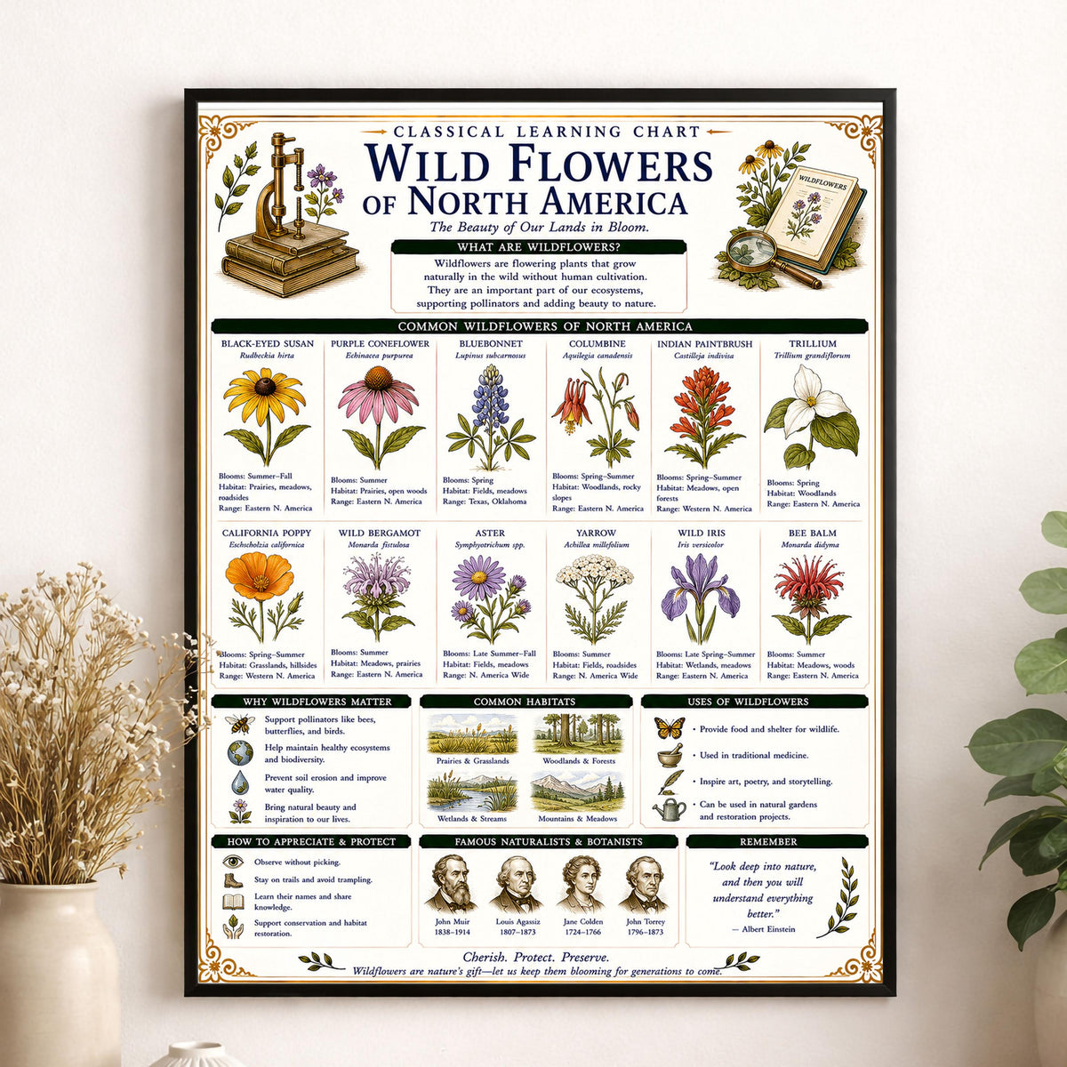 Wild Flowers of North America Chart Wall Art Print, Classical Learning Poster, Teacher Classroom Reference, Homeschool, Nature Room Decor