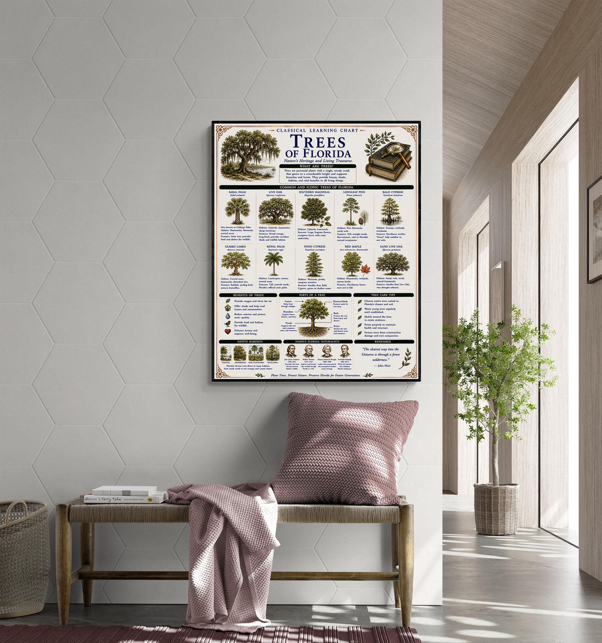 Trees of Florida Chart Wall Art Print, Classical Learning Poster, Teacher Classroom Reference, Homeschool, Botanical Nature Room Decor