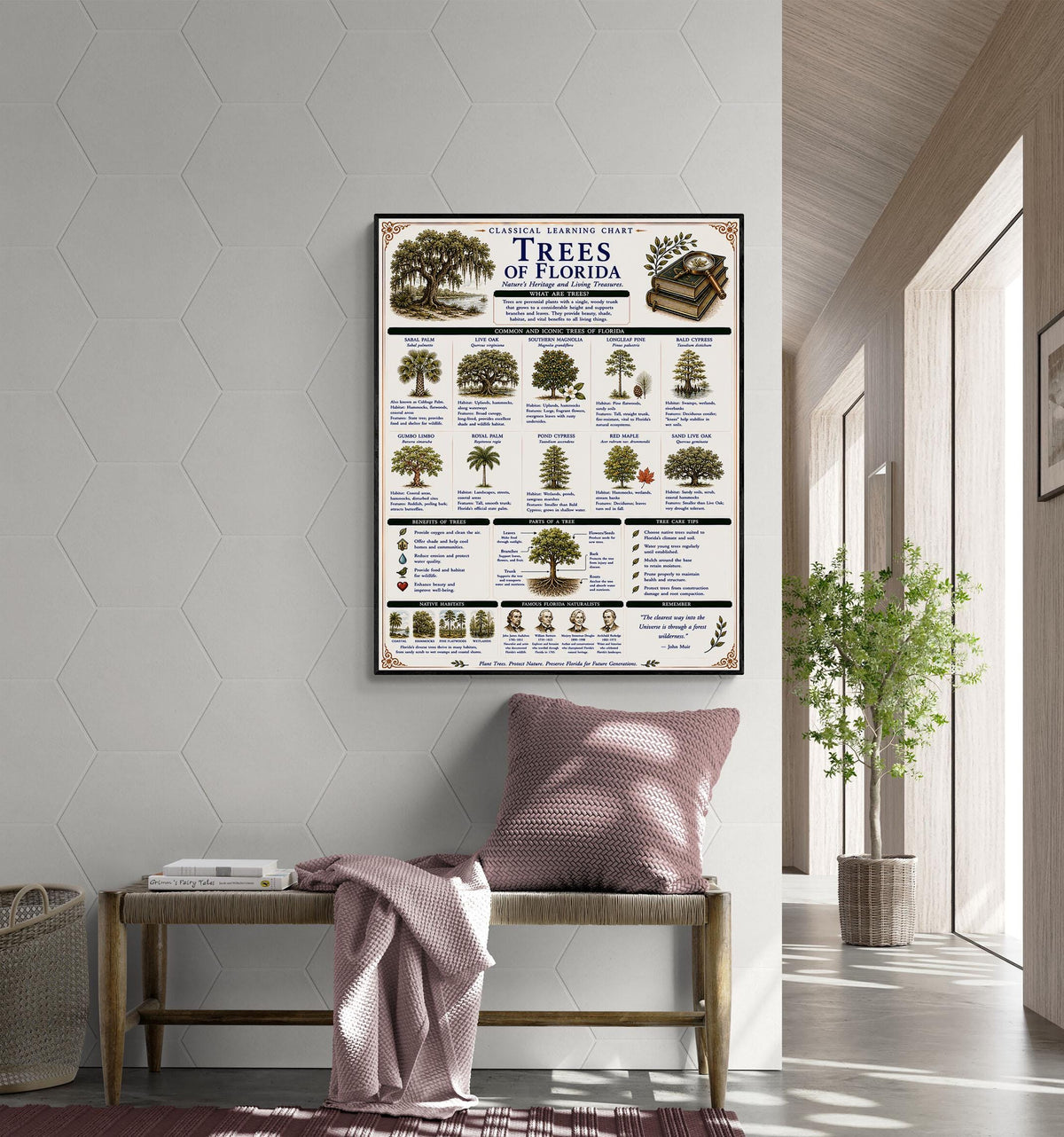 Trees of Florida Chart Wall Art Print, Classical Learning Poster, Teacher Classroom Reference, Homeschool, Botanical Nature Room Decor