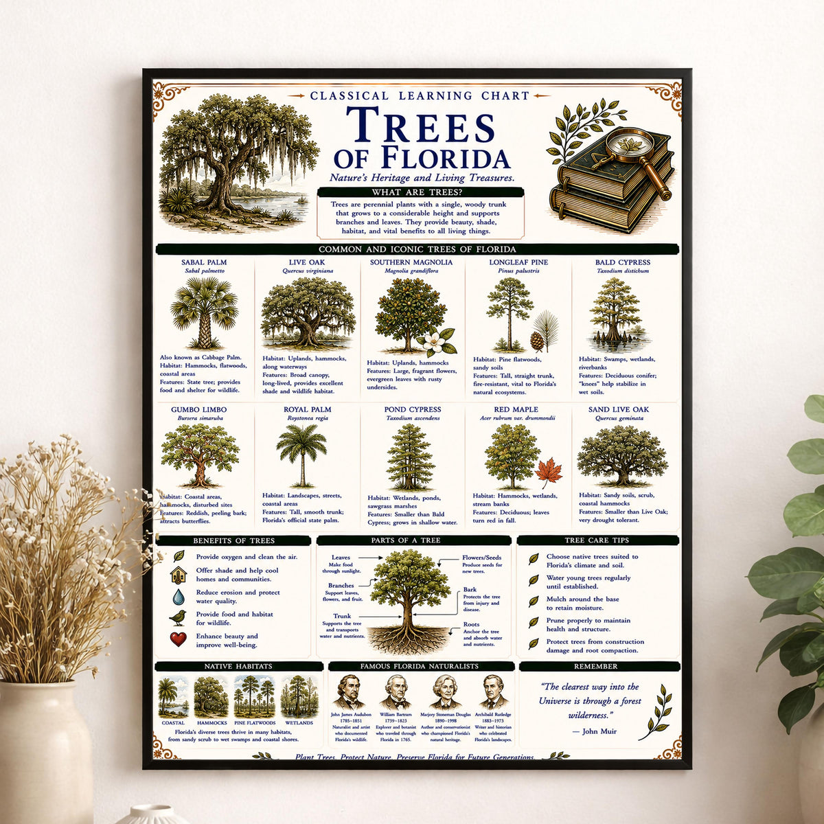 Trees of Florida Chart Wall Art Print, Classical Learning Poster, Teacher Classroom Reference, Homeschool, Botanical Nature Room Decor