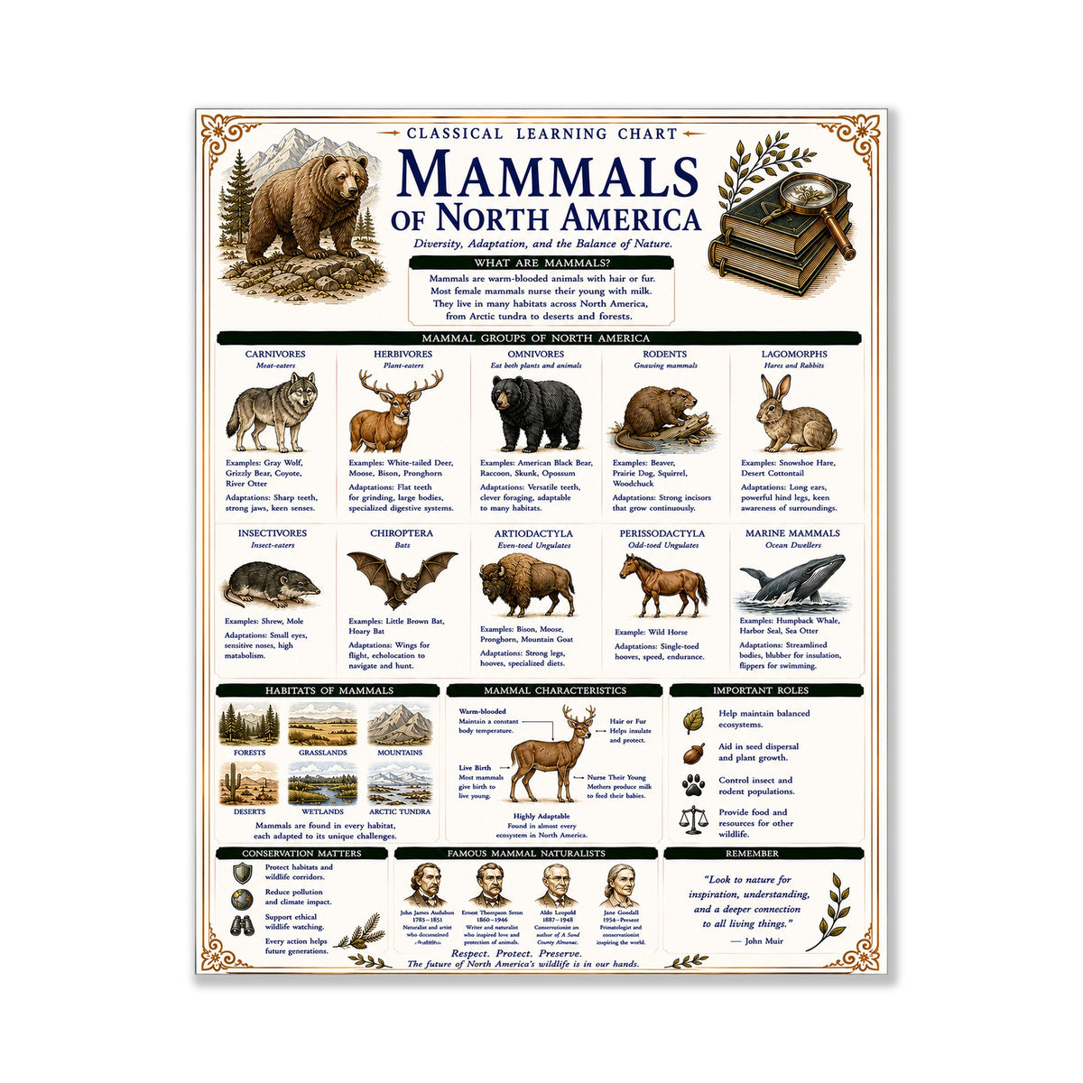 Mammals of North America Learning Chart | Wildlife Classroom Poster | Homeschool Nature Education Print | Science Wall Art