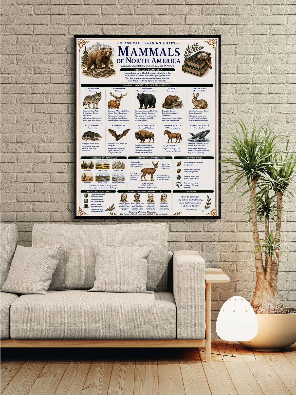 Mammals of North America Learning Chart | Wildlife Classroom Poster | Homeschool Nature Education Print | Science Wall Art