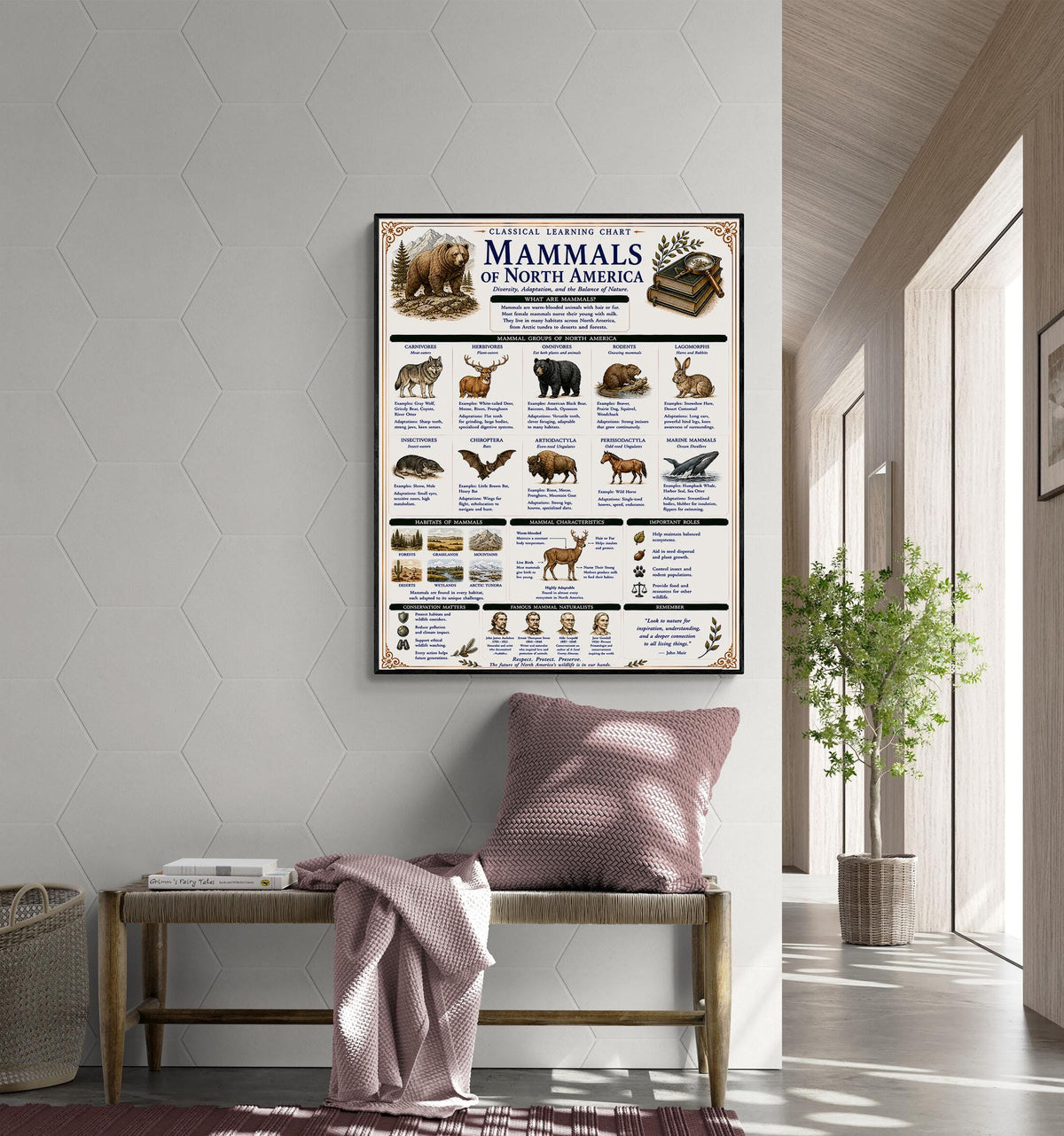 Mammals of North America Learning Chart | Wildlife Classroom Poster | Homeschool Nature Education Print | Science Wall Art