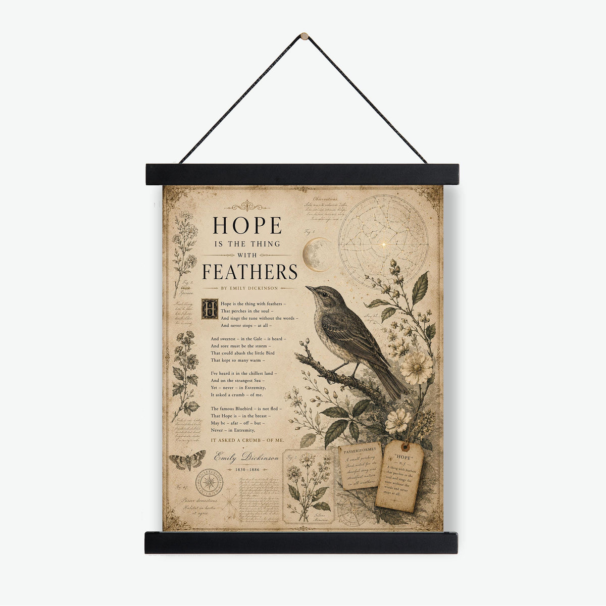 Hope Is the Thing with Feathers Art Print | Emily Dickinson Poem | Vintage Bird Wall Art | Literary Nature Decor