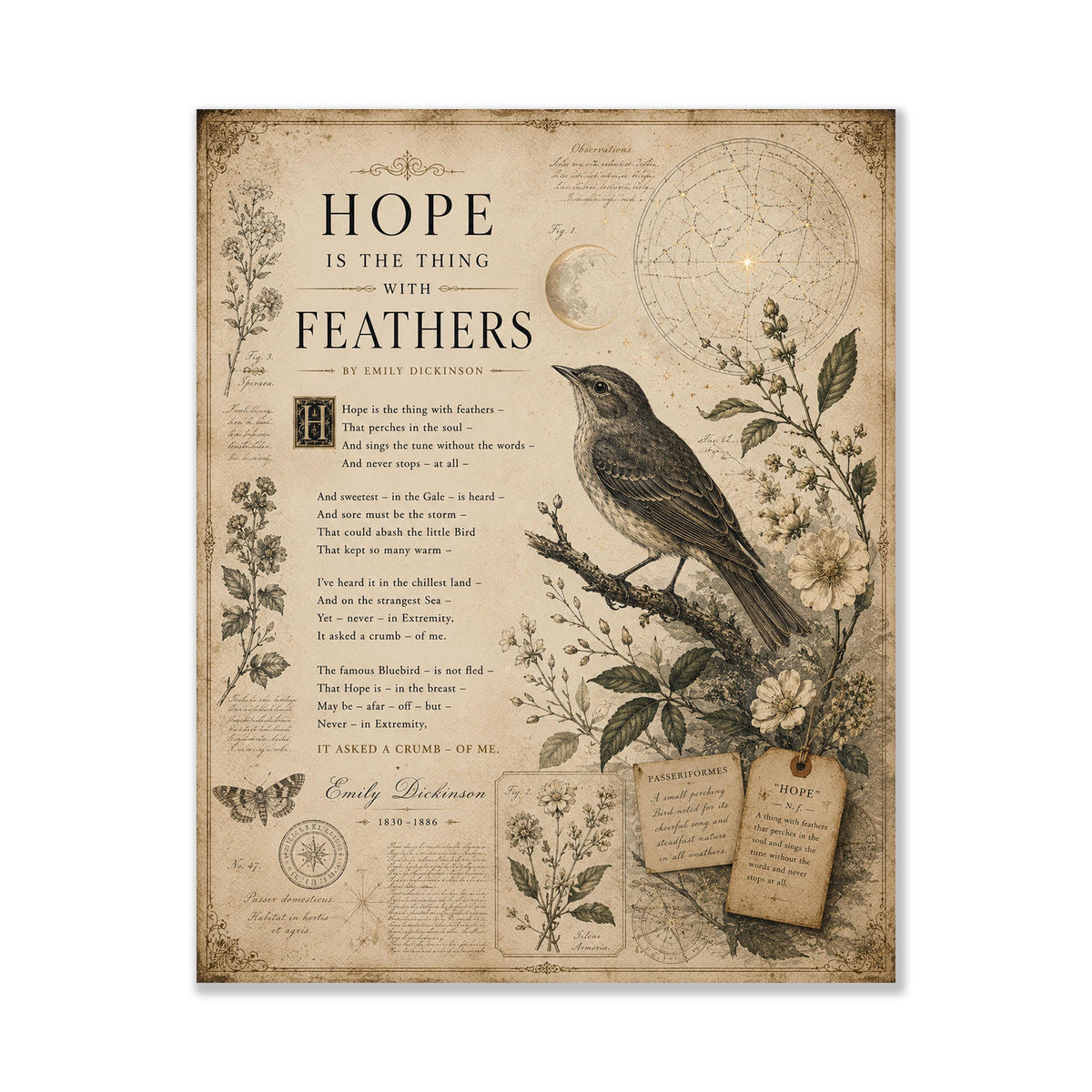 Hope Is the Thing with Feathers Art Print | Emily Dickinson Poem | Vintage Bird Wall Art | Literary Nature Decor