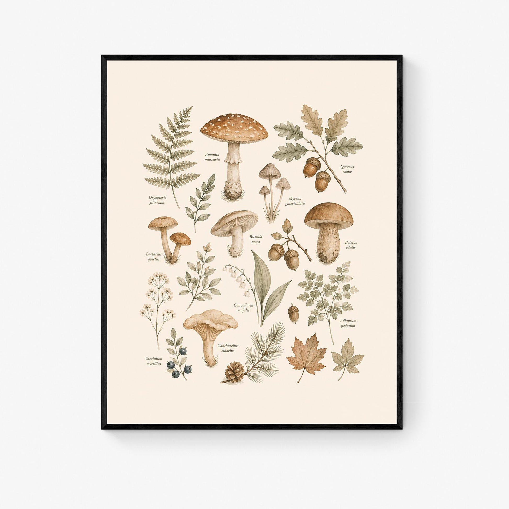 Vintage Botanical Mushroom Nursery Wall Art Print | Children’s Home Decor | For Boy | Kids | Girl | Cottage core | Natural History Artwork