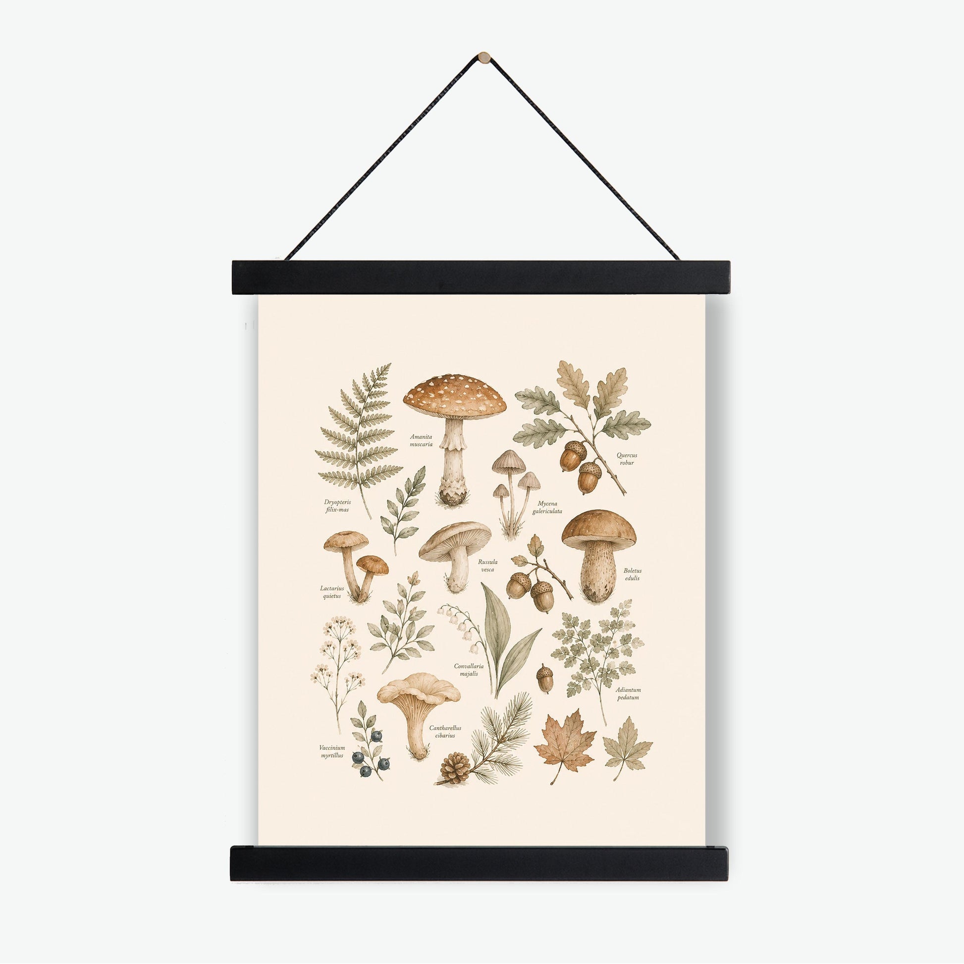 Vintage Botanical Mushroom Nursery Wall Art Print | Children’s Home Decor | For Boy | Kids | Girl | Cottage core | Natural History Artwork