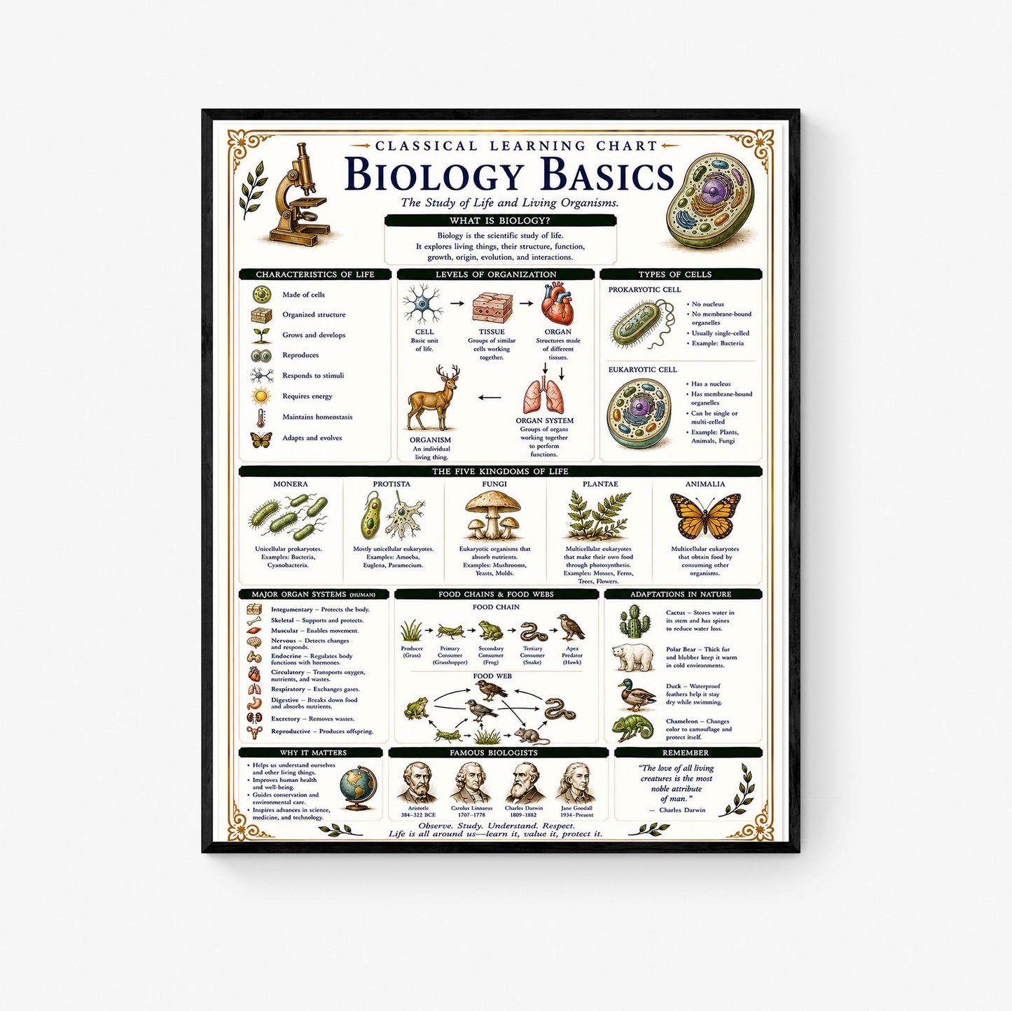 Biology Basics Chart Wall Art Print, Classical Learning Poster, STEM Teacher Classroom Reference, Homeschool, Physical Science Room Decor