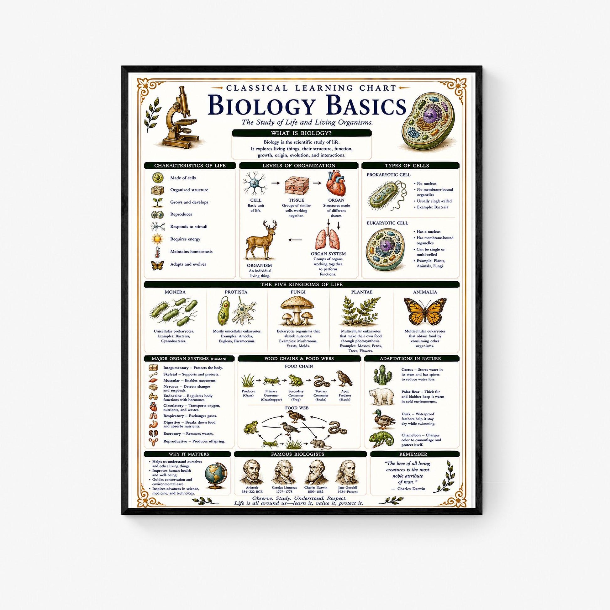 Biology Basics Chart Wall Art Print, Classical Learning Poster, STEM Teacher Classroom Reference, Homeschool, Physical Science Room Decor