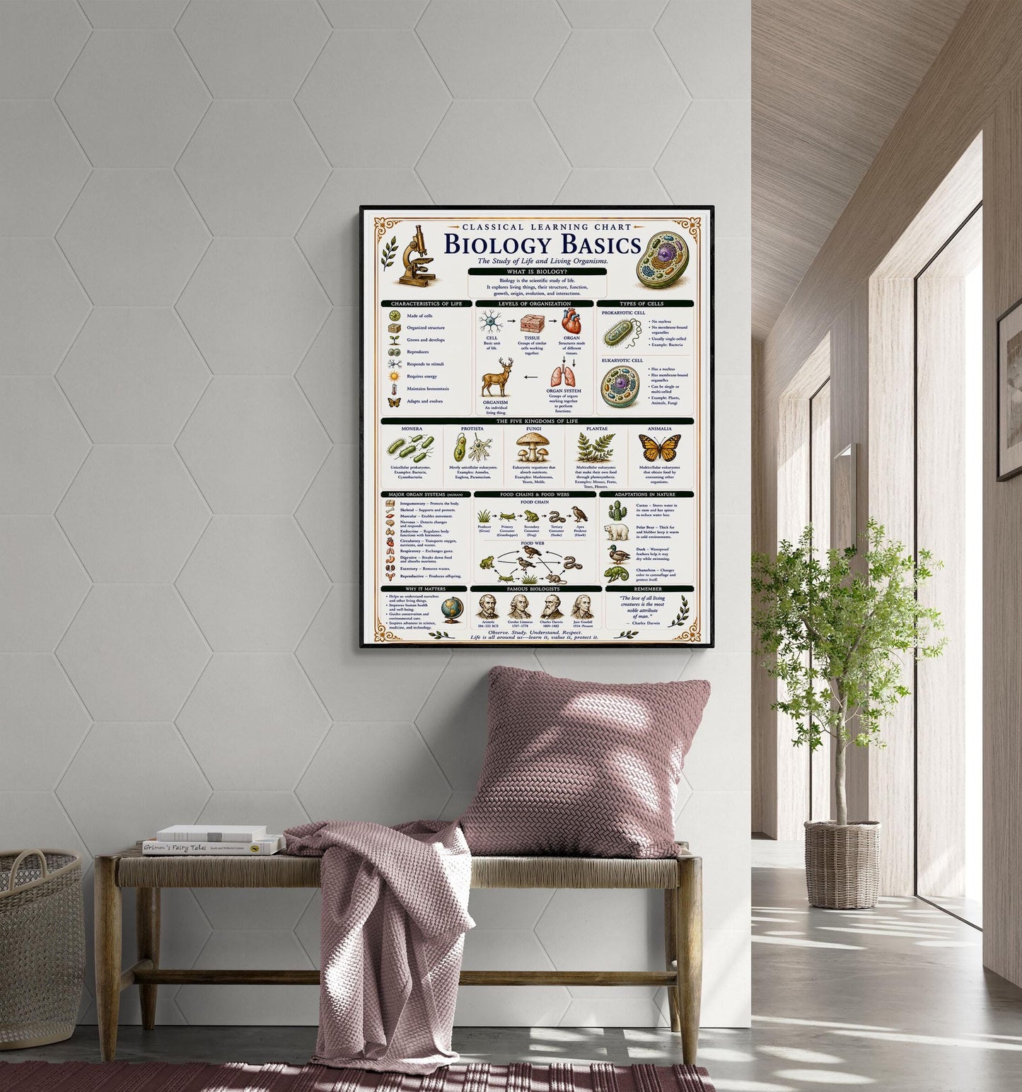 Biology Basics Chart Wall Art Print, Classical Learning Poster, STEM Teacher Classroom Reference, Homeschool, Physical Science Room Decor
