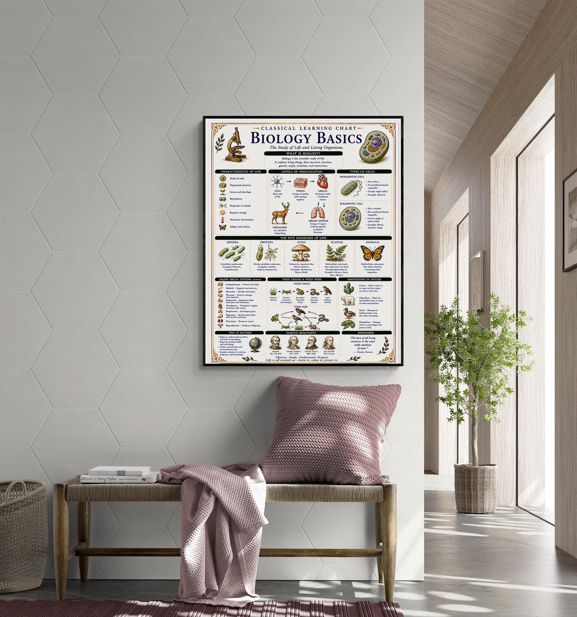 Biology Basics Chart Wall Art Print, Classical Learning Poster, STEM Teacher Classroom Reference, Homeschool, Physical Science Room Decor