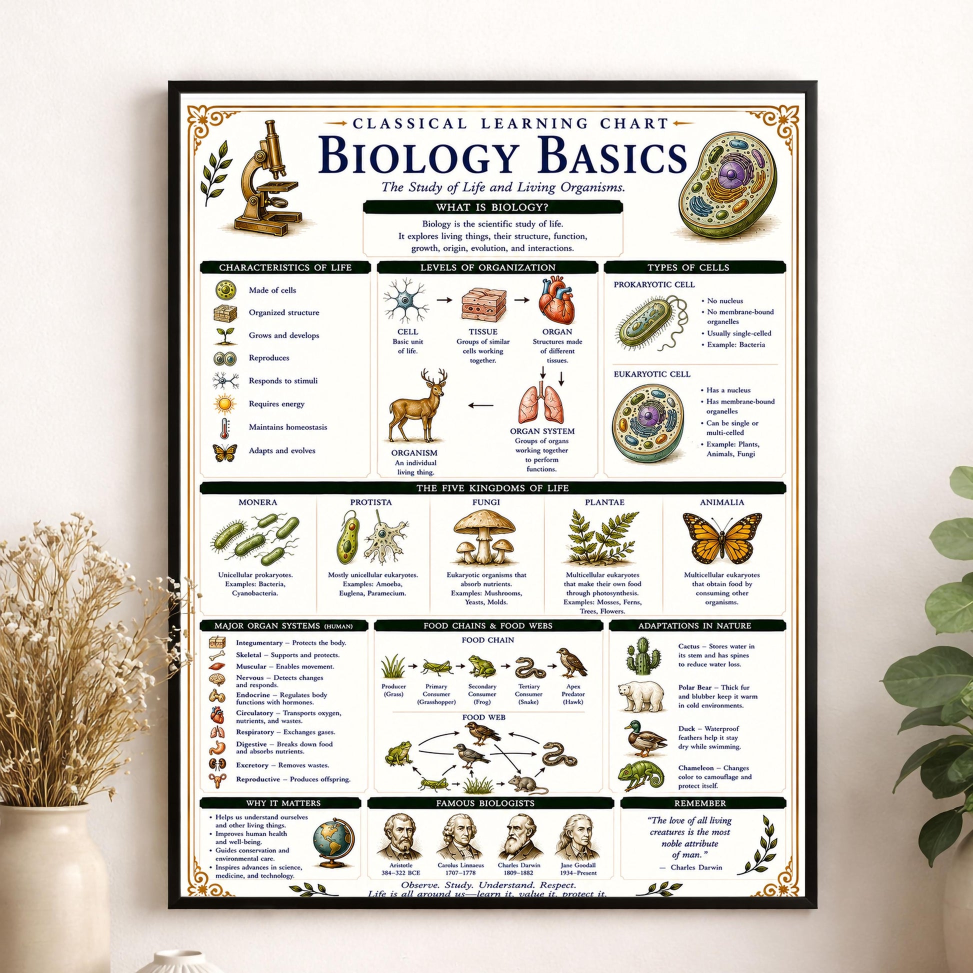 Biology Basics Chart Wall Art Print, Classical Learning Poster, STEM Teacher Classroom Reference, Homeschool, Physical Science Room Decor