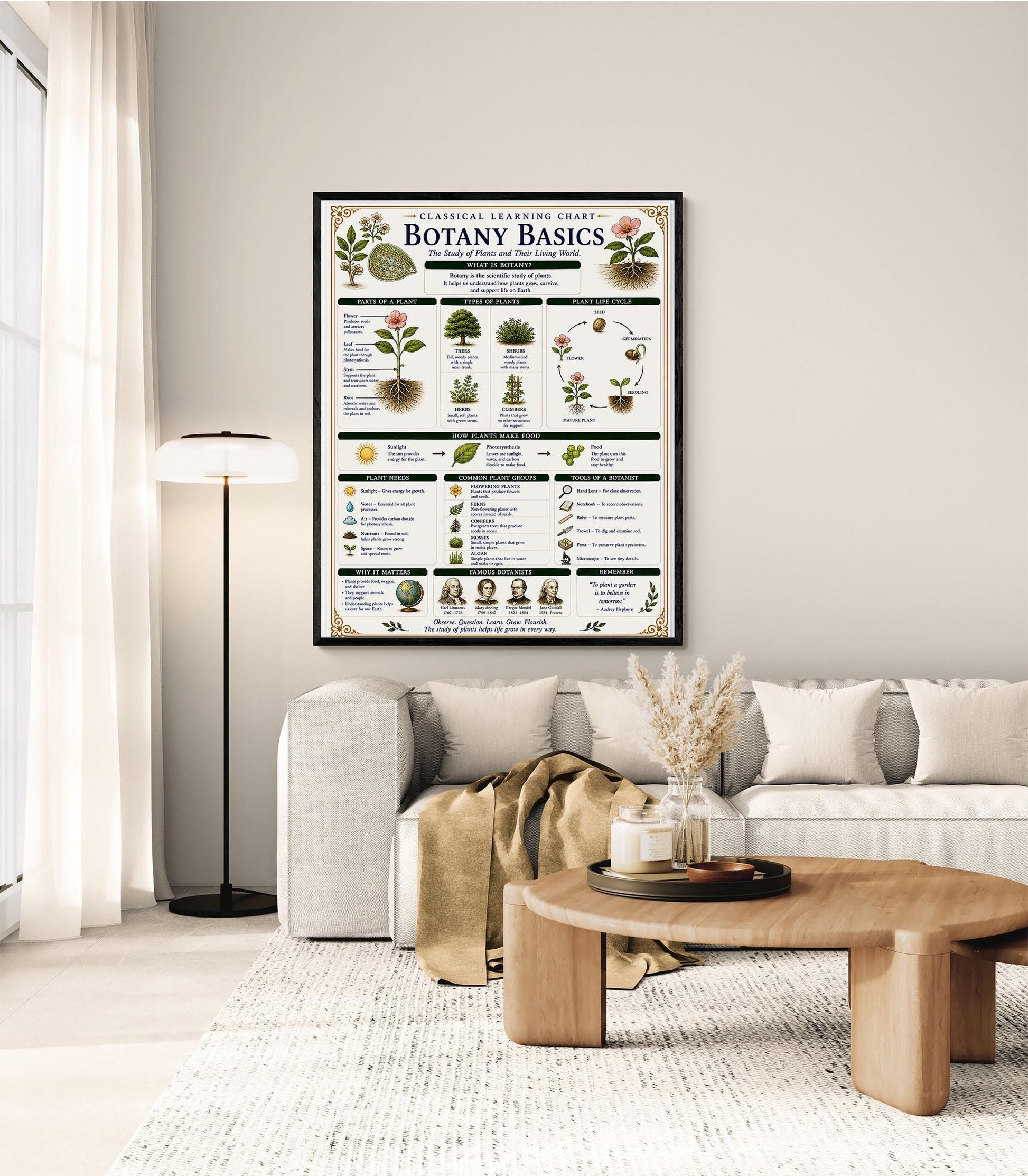 Botany Basics Chart Wall Art Print, Classical Learning Poster, STEM Teacher Classroom Reference, Homeschool, Plant Science Room Decor