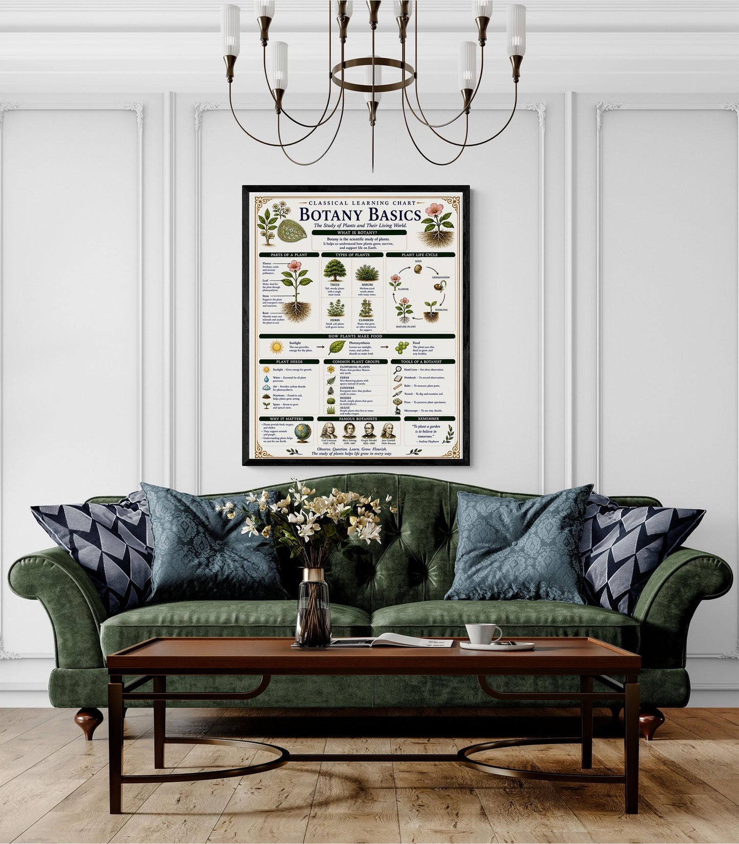 Botany Basics Chart Wall Art Print, Classical Learning Poster, STEM Teacher Classroom Reference, Homeschool, Plant Science Room Decor