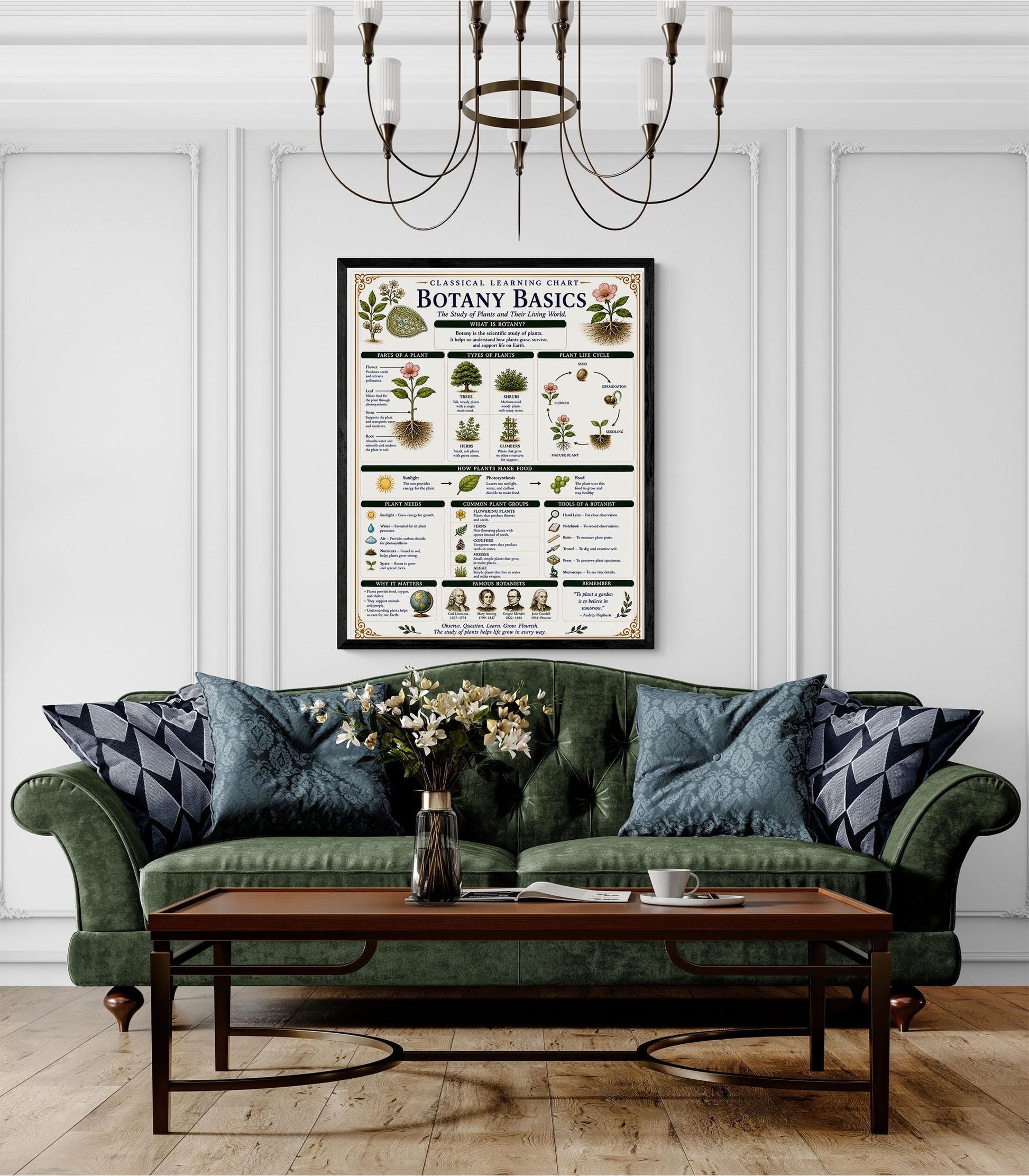 Botany Basics Chart Wall Art Print, Classical Learning Poster, STEM Teacher Classroom Reference, Homeschool, Plant Science Room Decor
