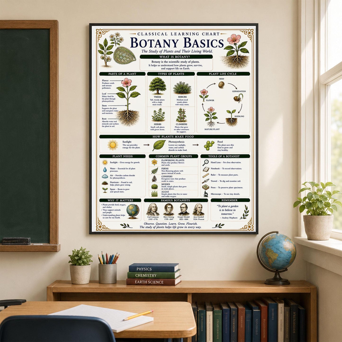 Botany Basics Chart Wall Art Print, Classical Learning Poster, STEM Teacher Classroom Reference, Homeschool, Plant Science Room Decor