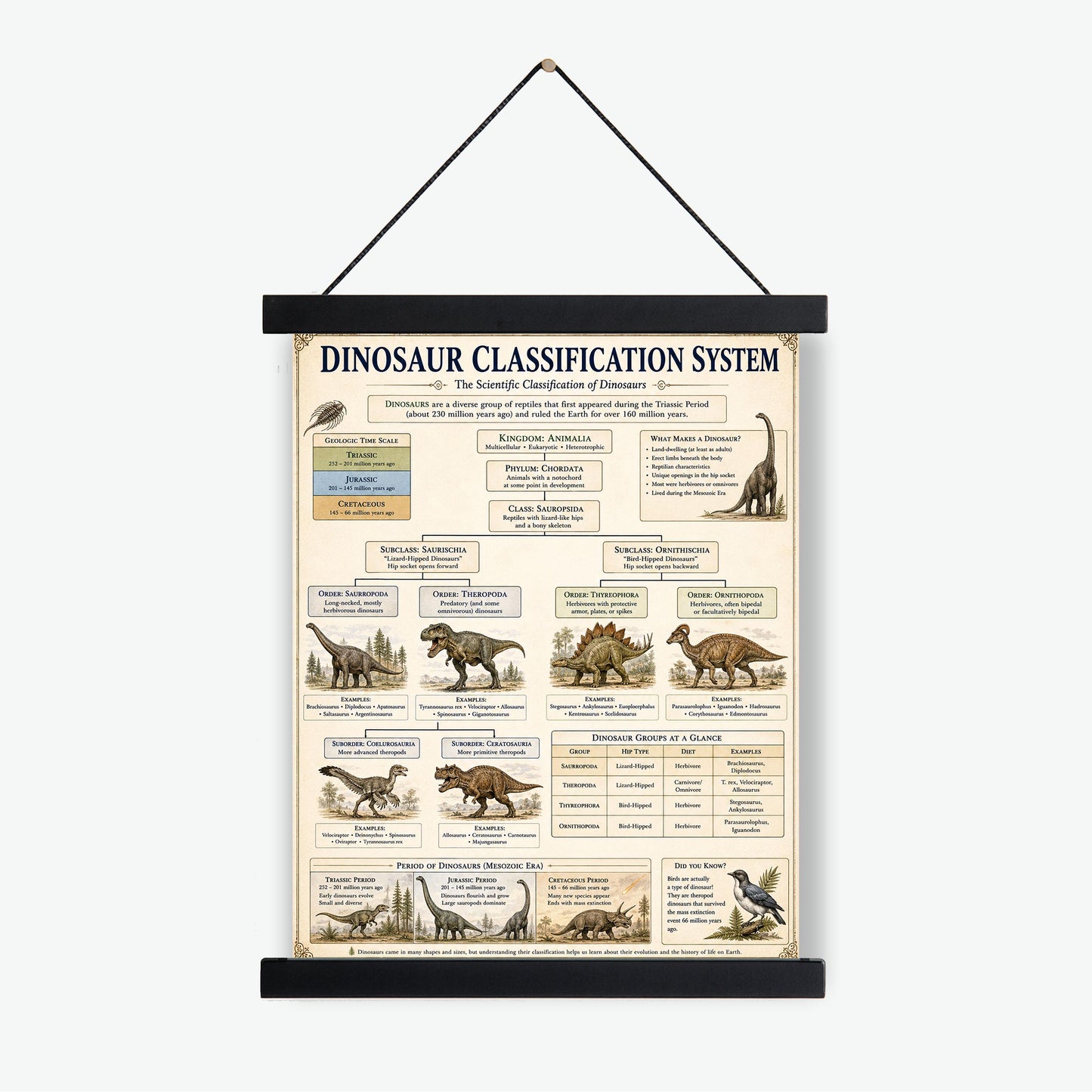 Dinosaur Classification System Chart Wall Art Print, Classical Learning Poster, Teacher Classroom Reference, Homeschool, Science Room Decor