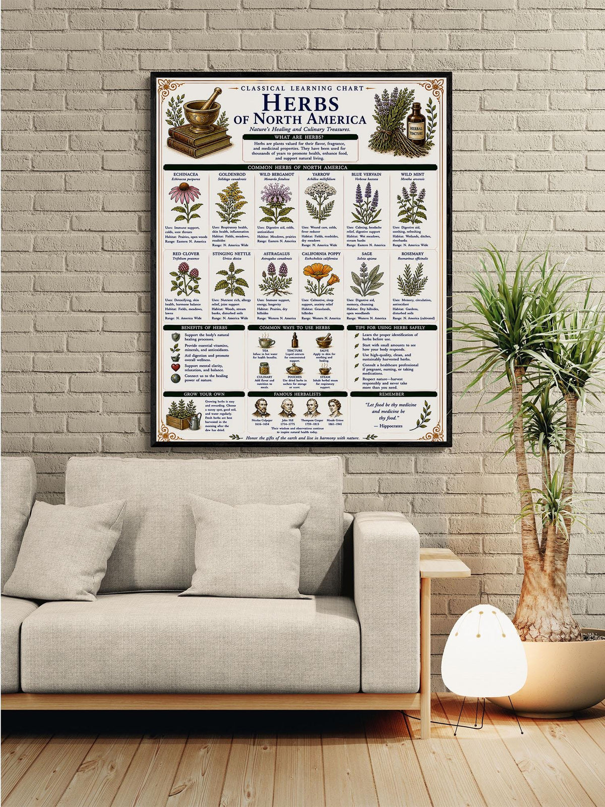 Herbs of North America Chart Wall Art Print, Classical Learning Poster, Teacher Classroom Reference, Homeschool, Botanical Nature Room Decor