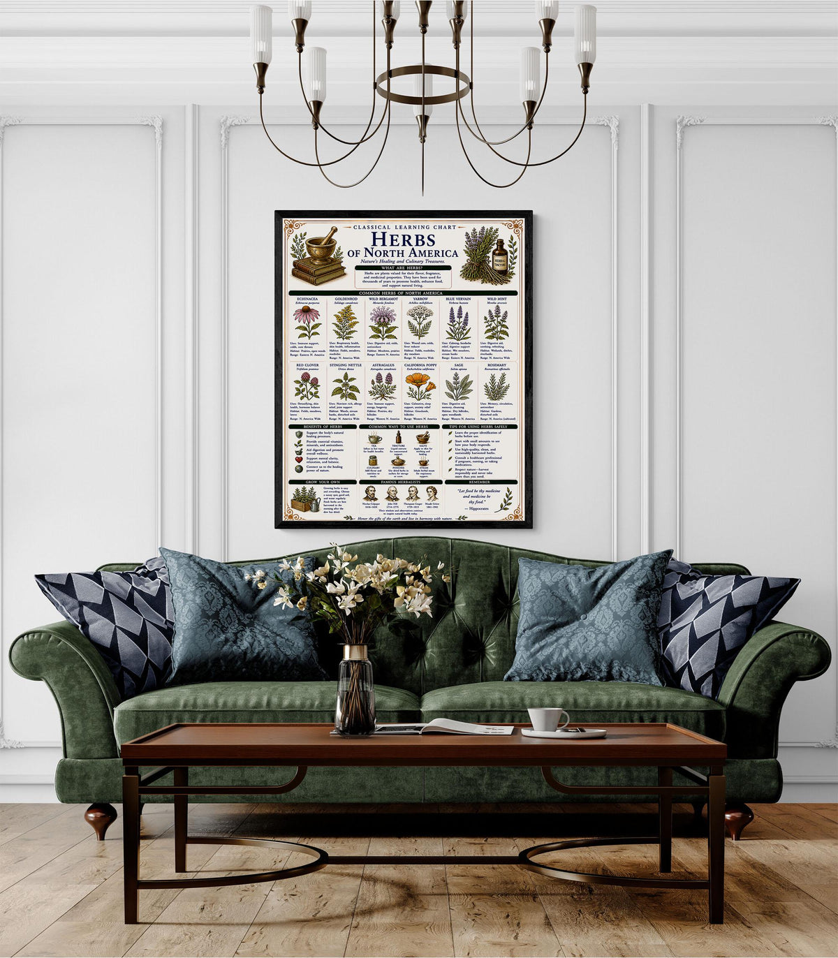 Herbs of North America Chart Wall Art Print, Classical Learning Poster, Teacher Classroom Reference, Homeschool, Botanical Nature Room Decor