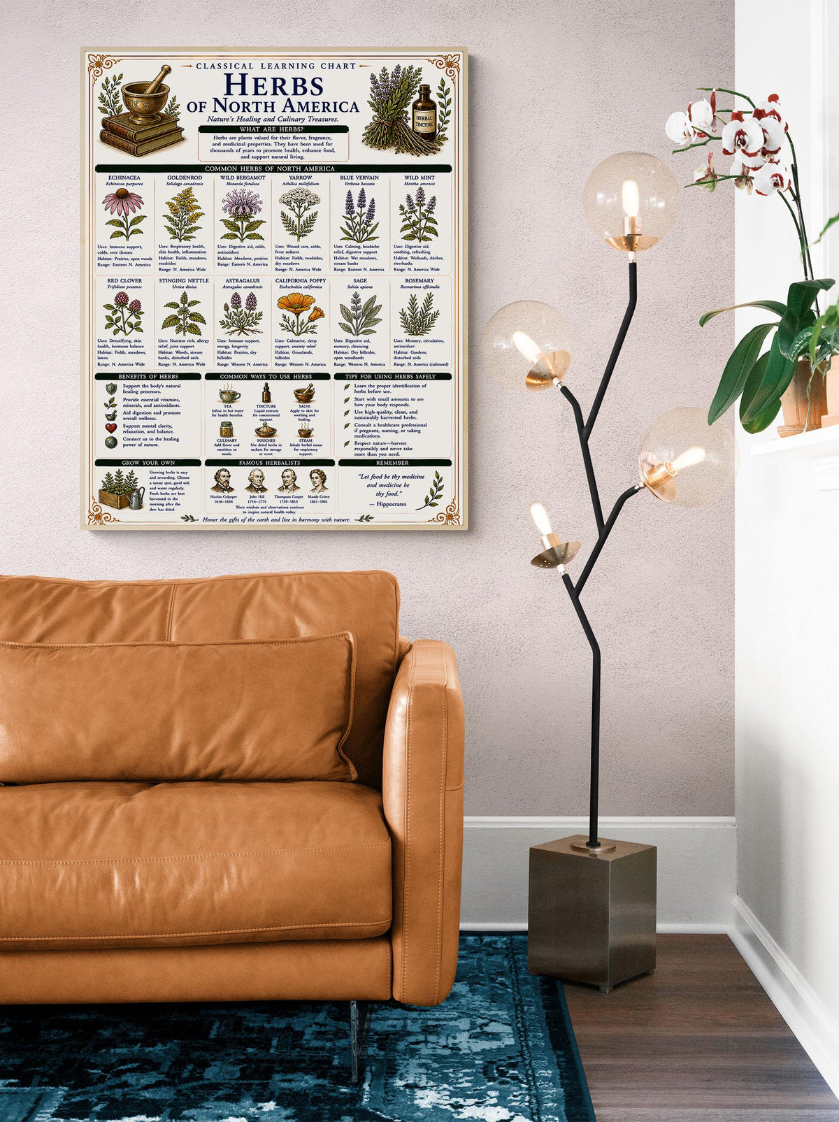 Herbs of North America Chart Wall Art Print, Classical Learning Poster, Teacher Classroom Reference, Homeschool, Botanical Nature Room Decor