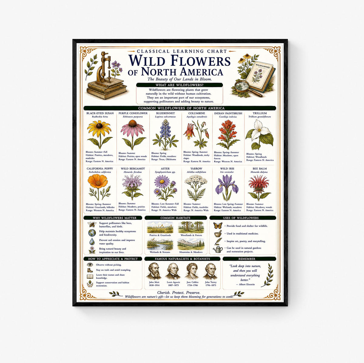 Wild Flowers of North America Chart Wall Art Print, Classical Learning Poster, Teacher Classroom Reference, Homeschool, Nature Room Decor