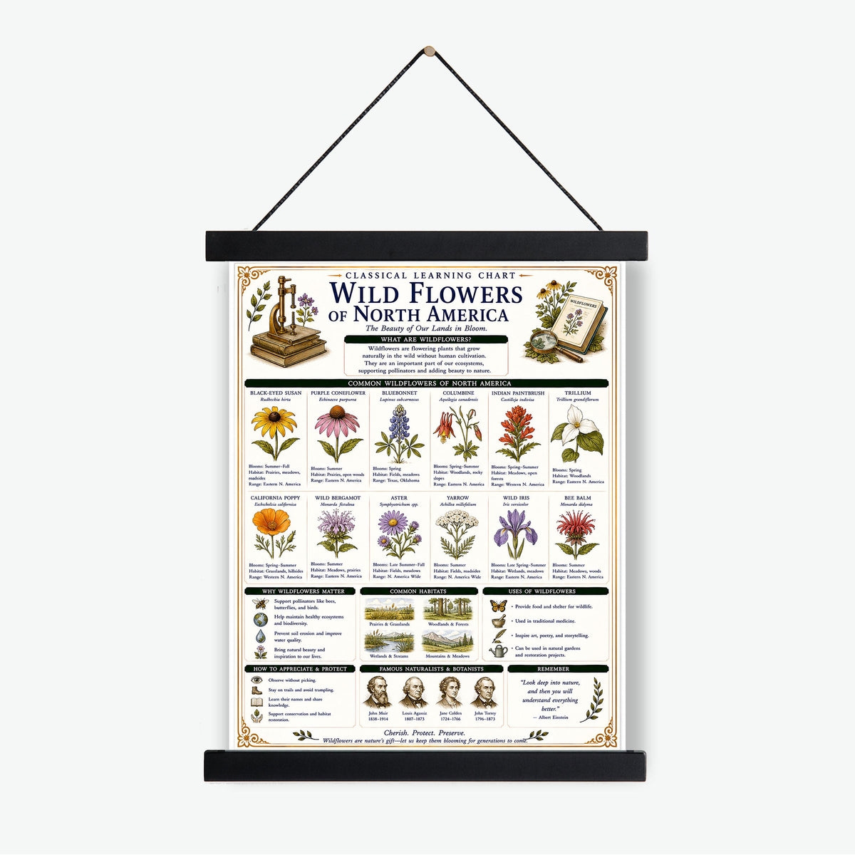 Wild Flowers of North America Chart Wall Art Print, Classical Learning Poster, Teacher Classroom Reference, Homeschool, Nature Room Decor