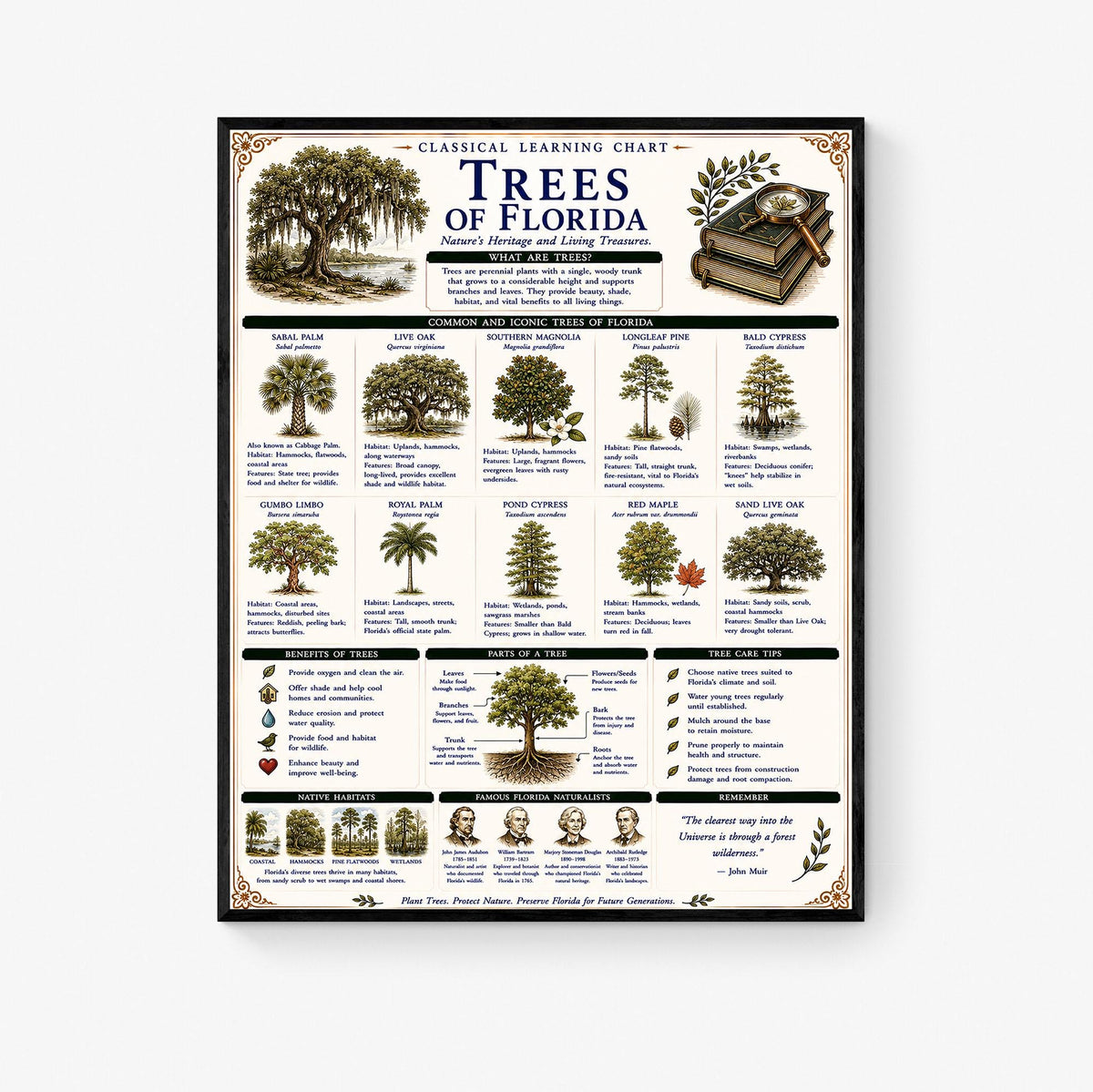 Trees of Florida Chart Wall Art Print, Classical Learning Poster, Teacher Classroom Reference, Homeschool, Botanical Nature Room Decor
