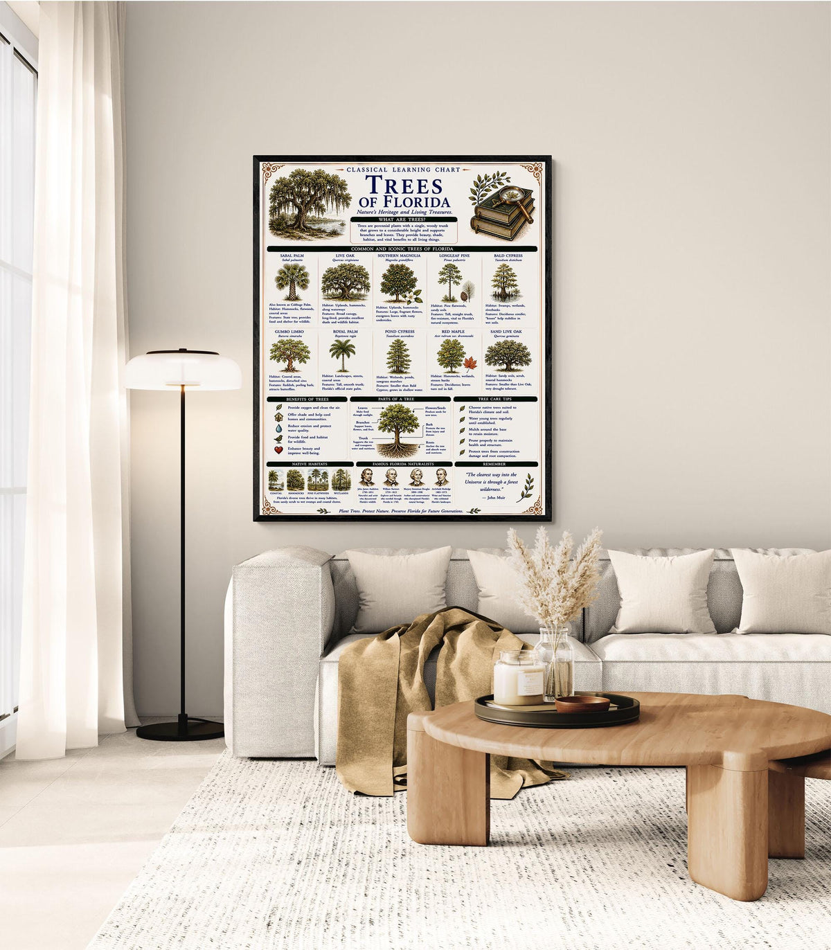 Trees of Florida Chart Wall Art Print, Classical Learning Poster, Teacher Classroom Reference, Homeschool, Botanical Nature Room Decor