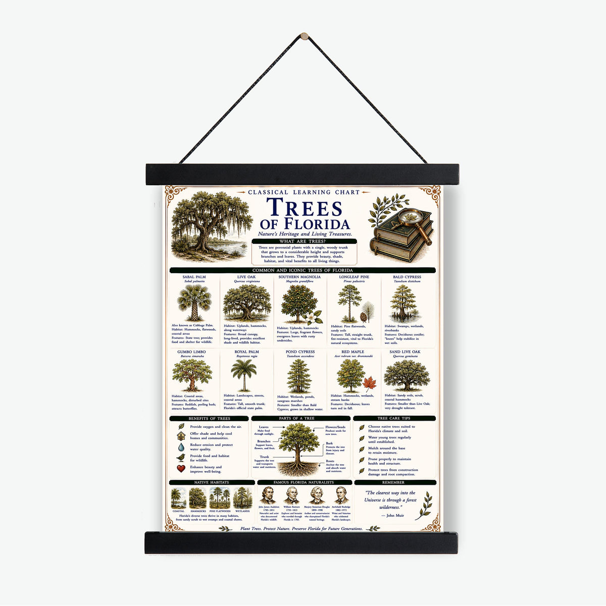 Trees of Florida Chart Wall Art Print, Classical Learning Poster, Teacher Classroom Reference, Homeschool, Botanical Nature Room Decor