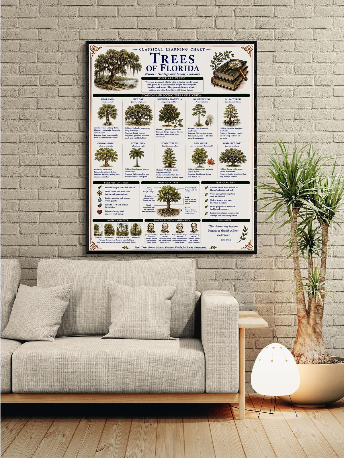 Trees of Florida Chart Wall Art Print, Classical Learning Poster, Teacher Classroom Reference, Homeschool, Botanical Nature Room Decor