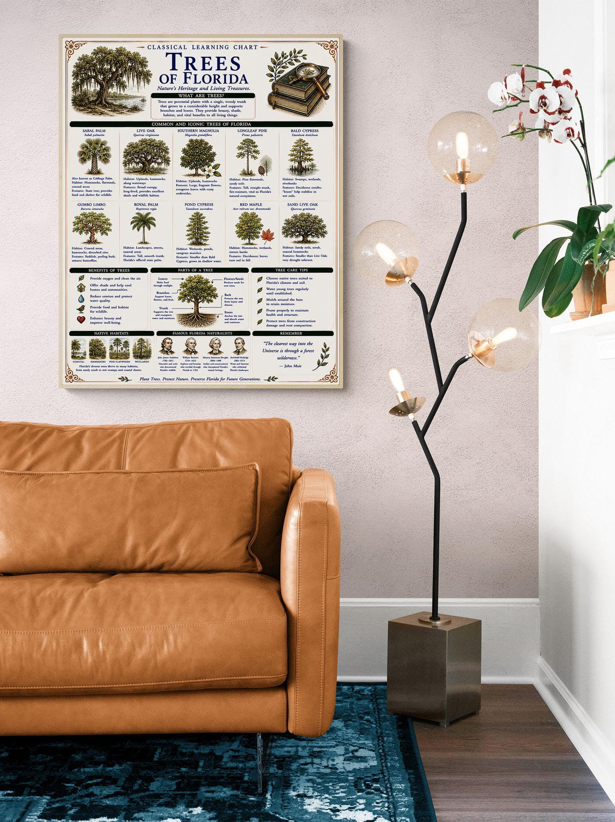Trees of Florida Chart Wall Art Print, Classical Learning Poster, Teacher Classroom Reference, Homeschool, Botanical Nature Room Decor
