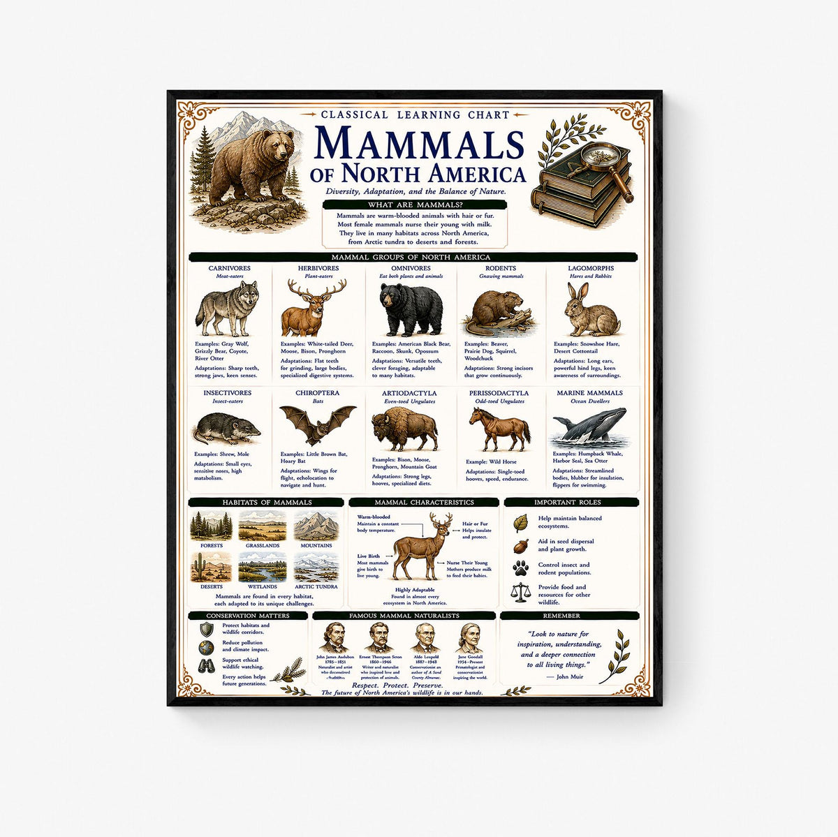 Mammals of North America Learning Chart | Wildlife Classroom Poster | Homeschool Nature Education Print | Science Wall Art