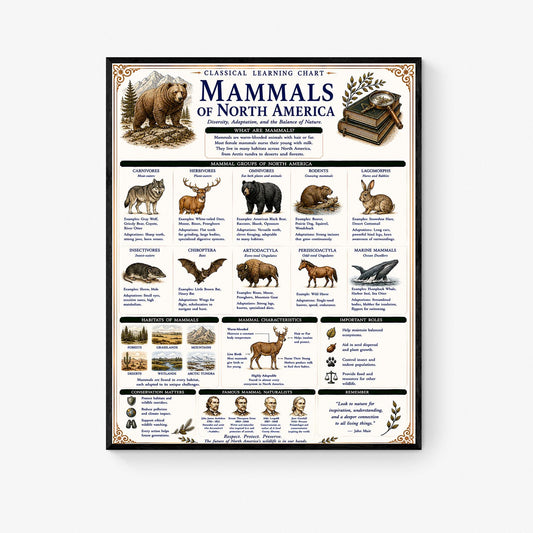 Mammals of North America Learning Chart | Wildlife Classroom Poster | Homeschool Nature Education Print | Science Wall Art