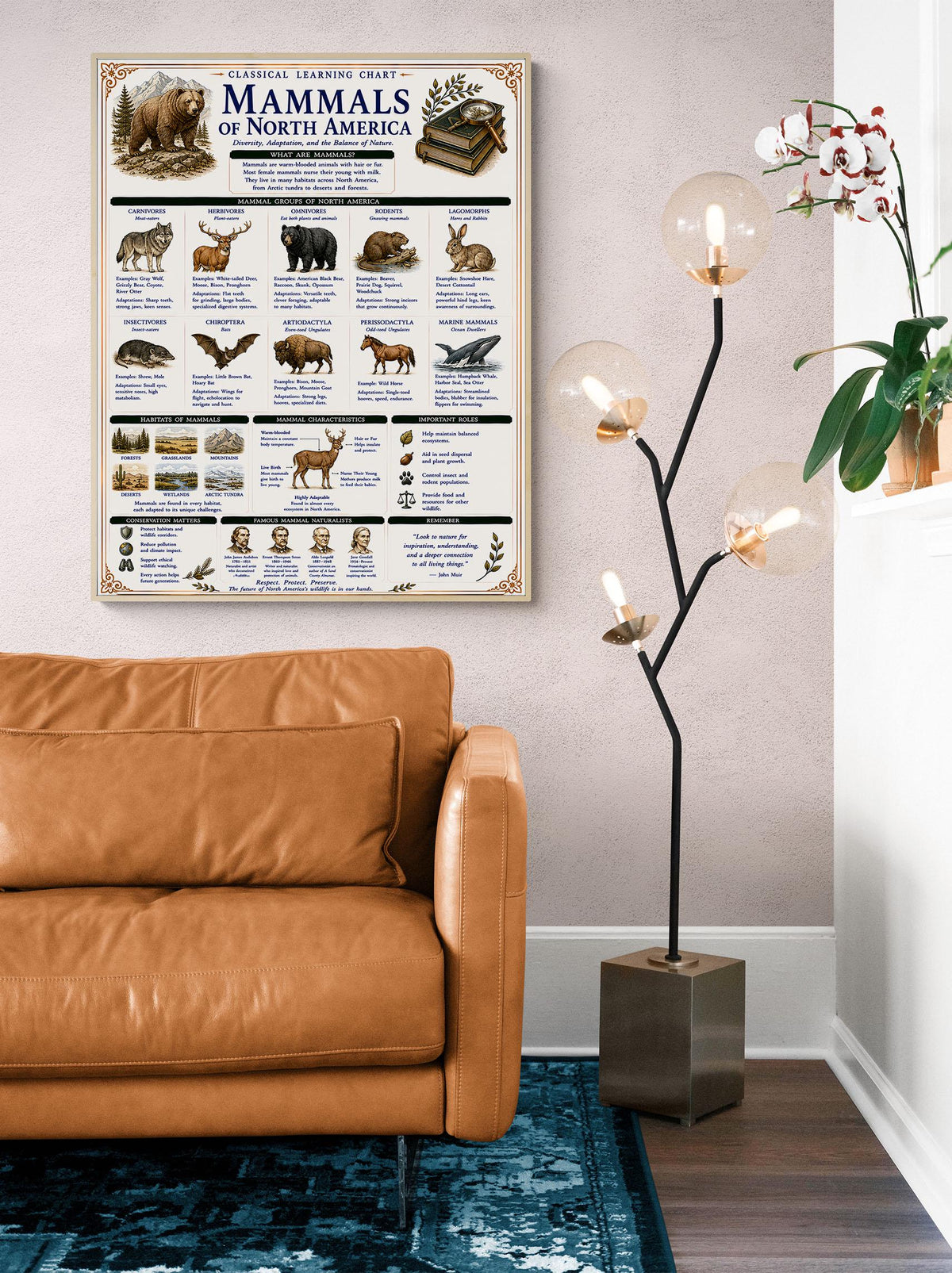 Mammals of North America Learning Chart | Wildlife Classroom Poster | Homeschool Nature Education Print | Science Wall Art