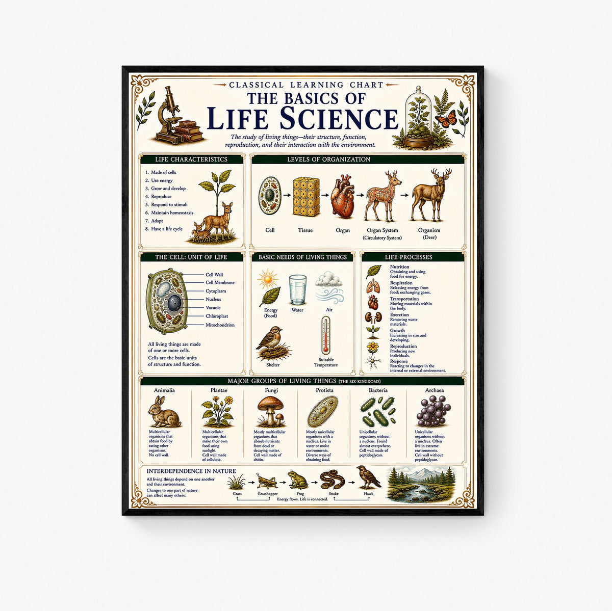 Life Science Biology Chart Wall Art Print, Classical Learning Poster, Teacher Classroom Reference, Homeschool, Science Room Decor