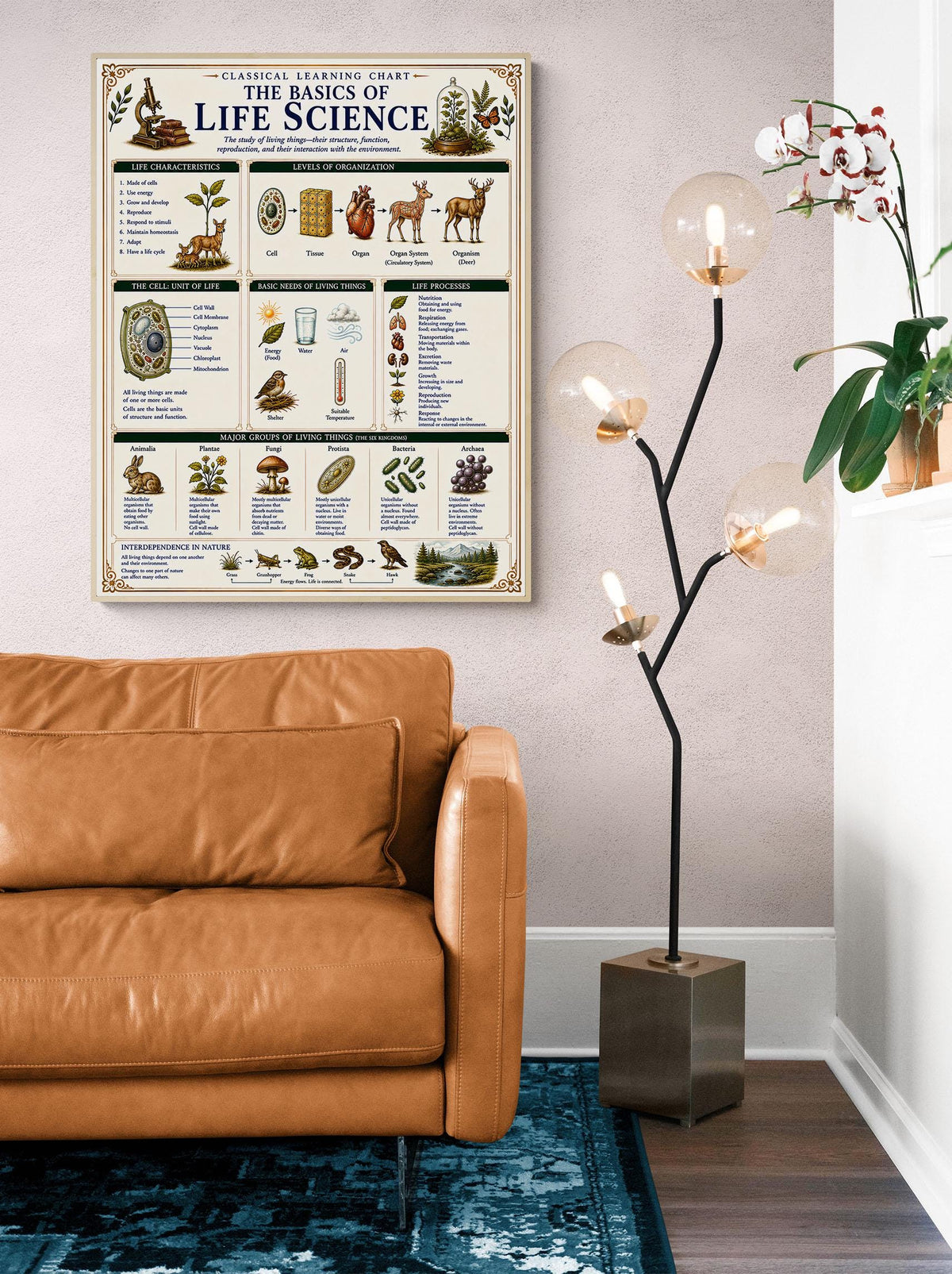 Life Science Biology Chart Wall Art Print, Classical Learning Poster, Teacher Classroom Reference, Homeschool, Science Room Decor