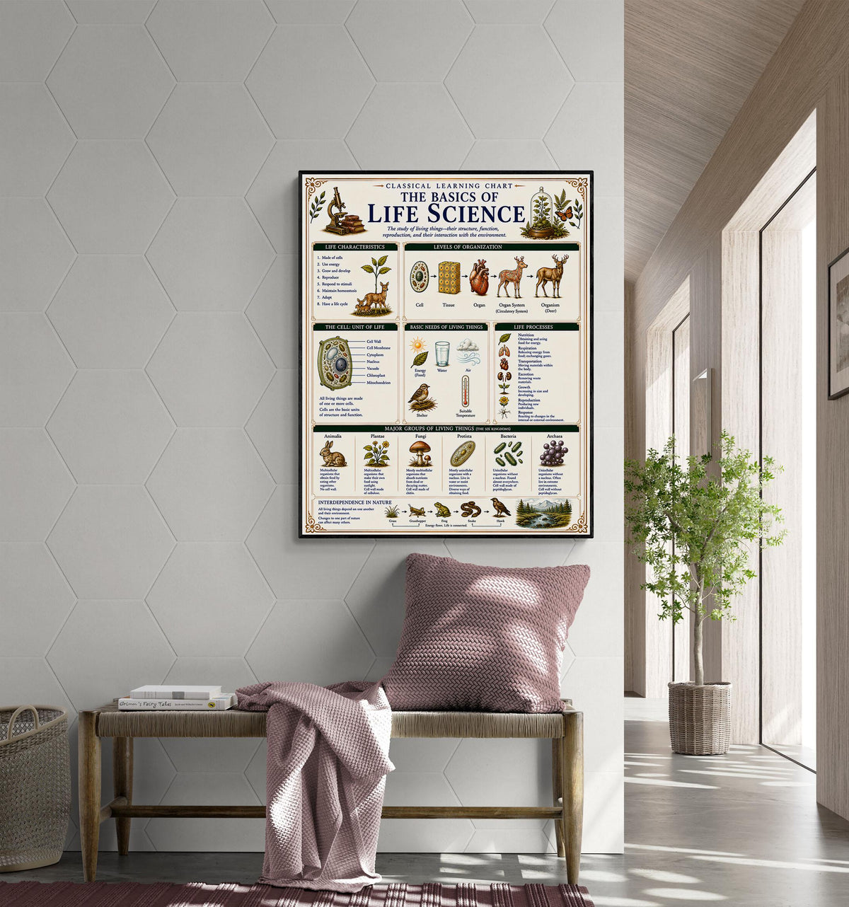 Life Science Biology Chart Wall Art Print, Classical Learning Poster, Teacher Classroom Reference, Homeschool, Science Room Decor